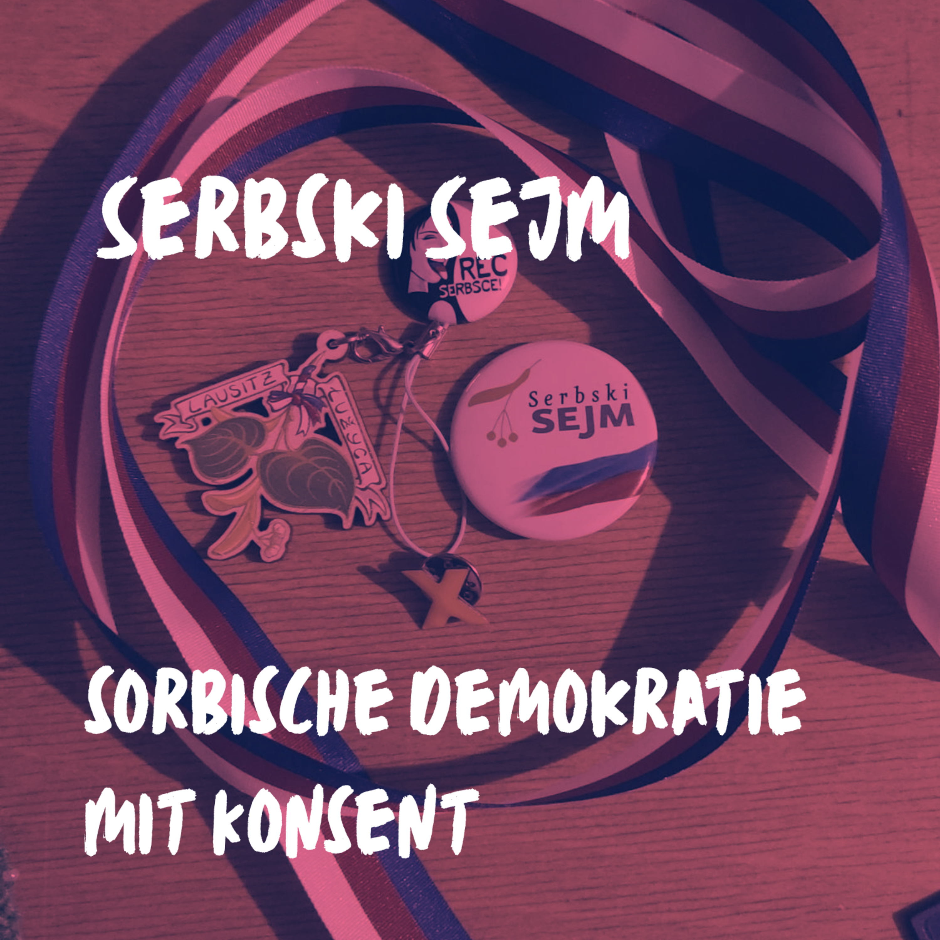 Serbski Sejm (2/2): Sorbische Demokratie mit Konsent episode artwork