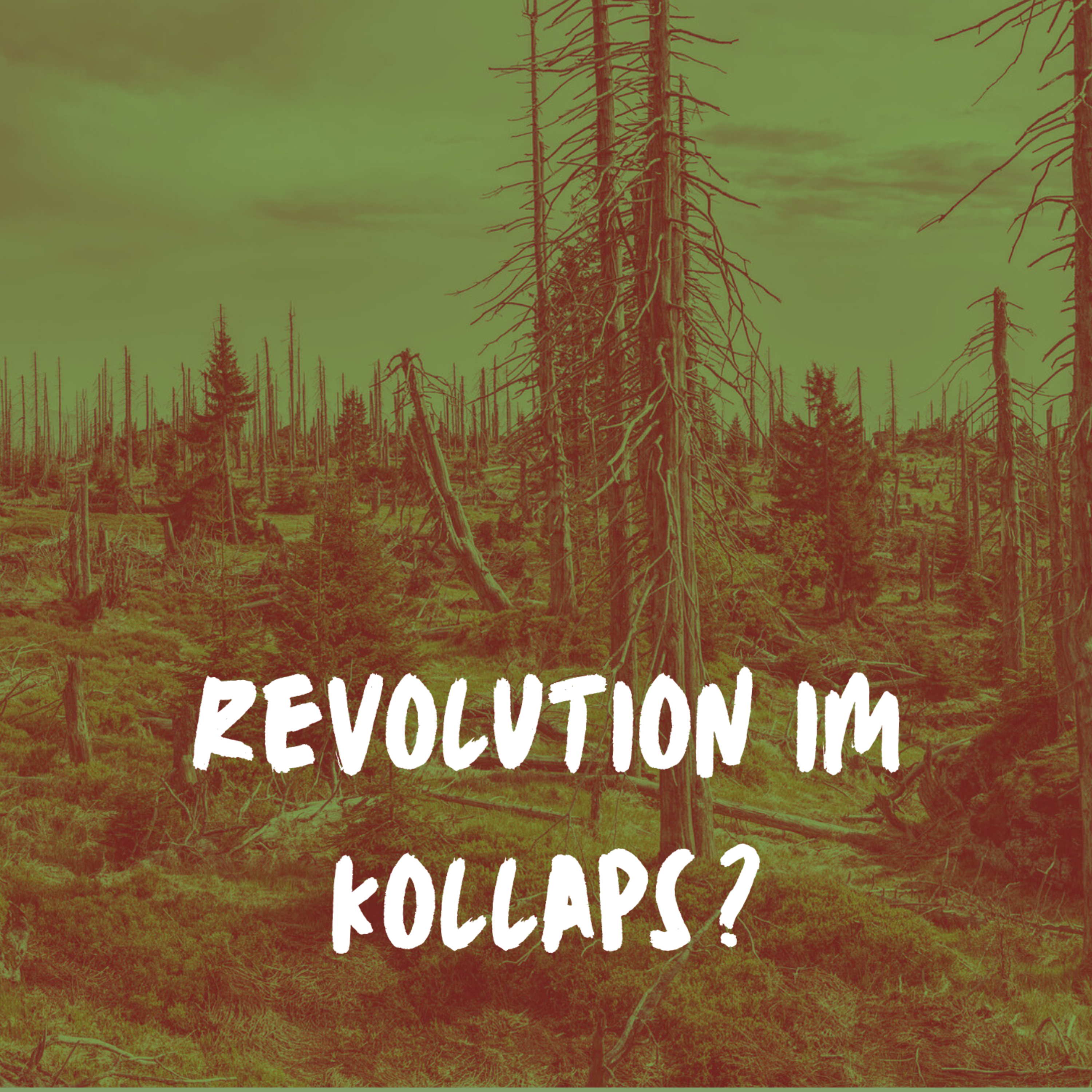 Revolution im Kollaps? (1/2) - Interview mit Wolf (FAU Dresden) episode artwork