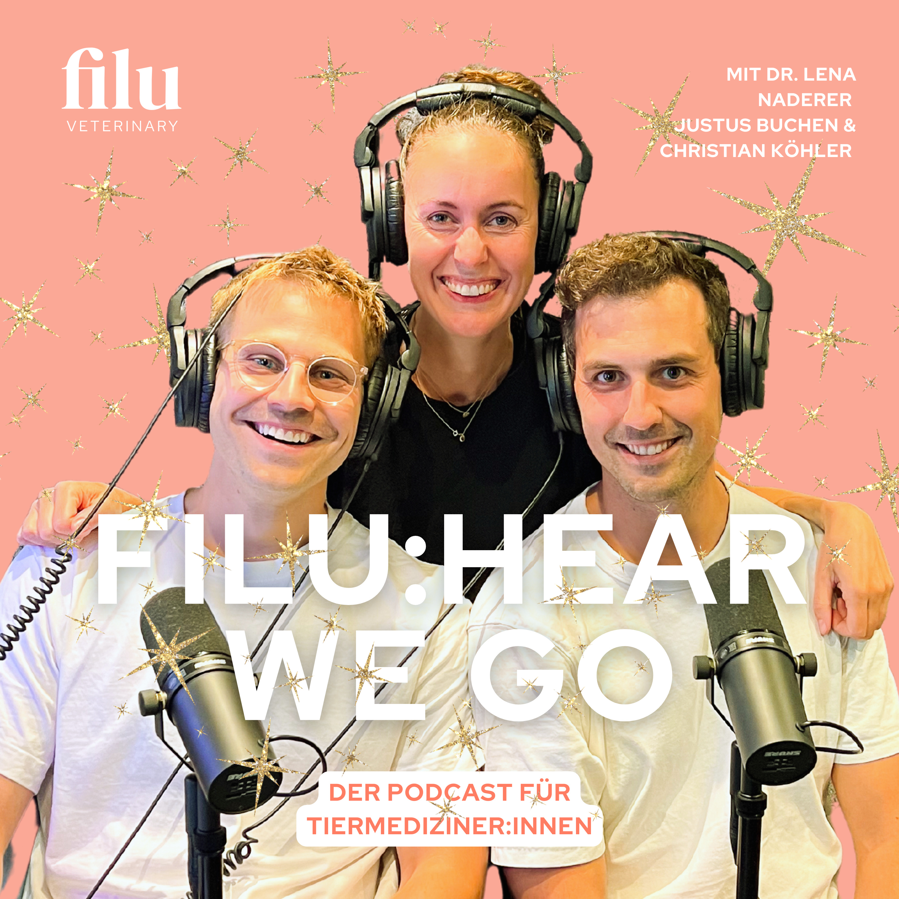 filu hear we go – Jahresrückblick 2025 & Ausblick 2026 episode artwork