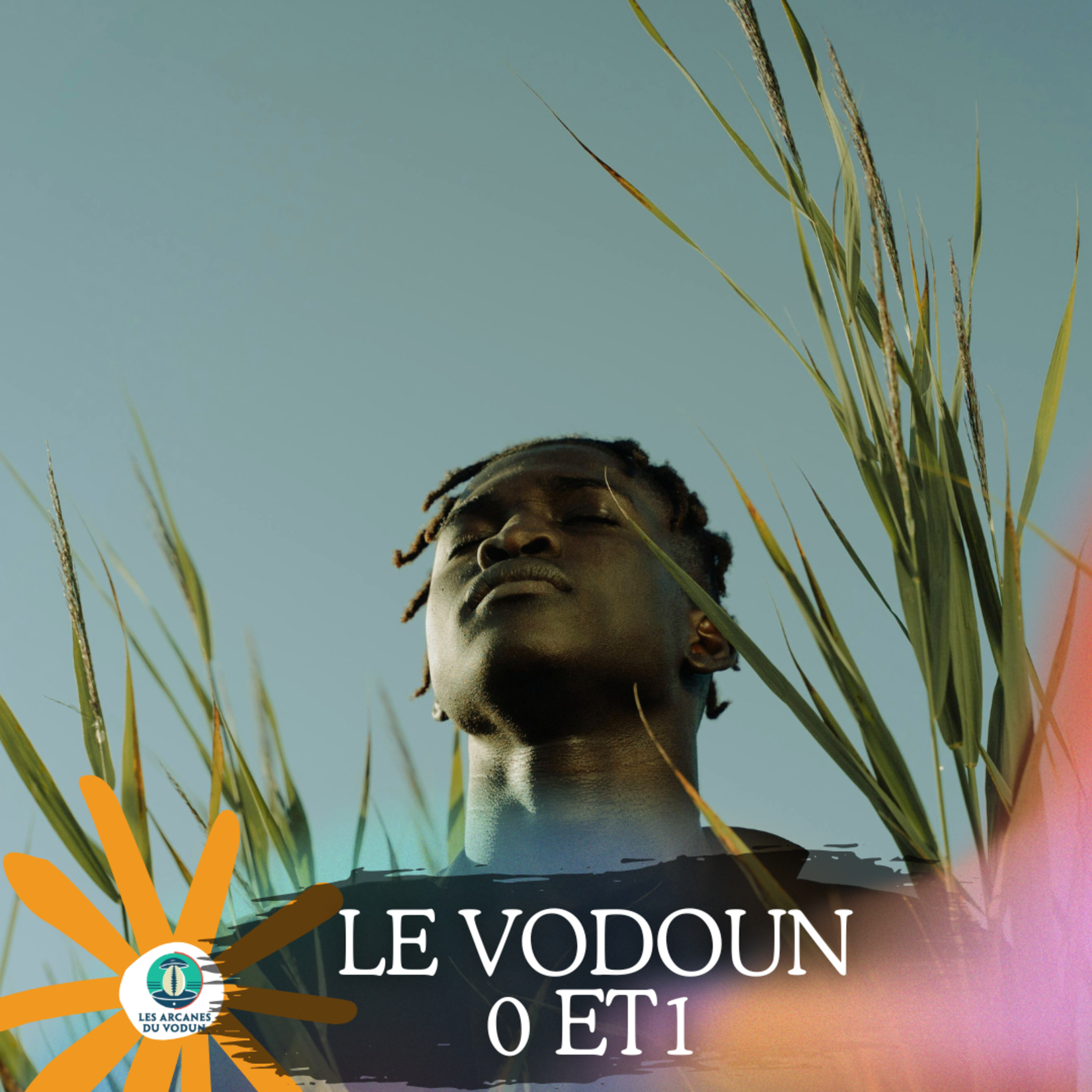 Le vodoun et la science du 0 et le 1