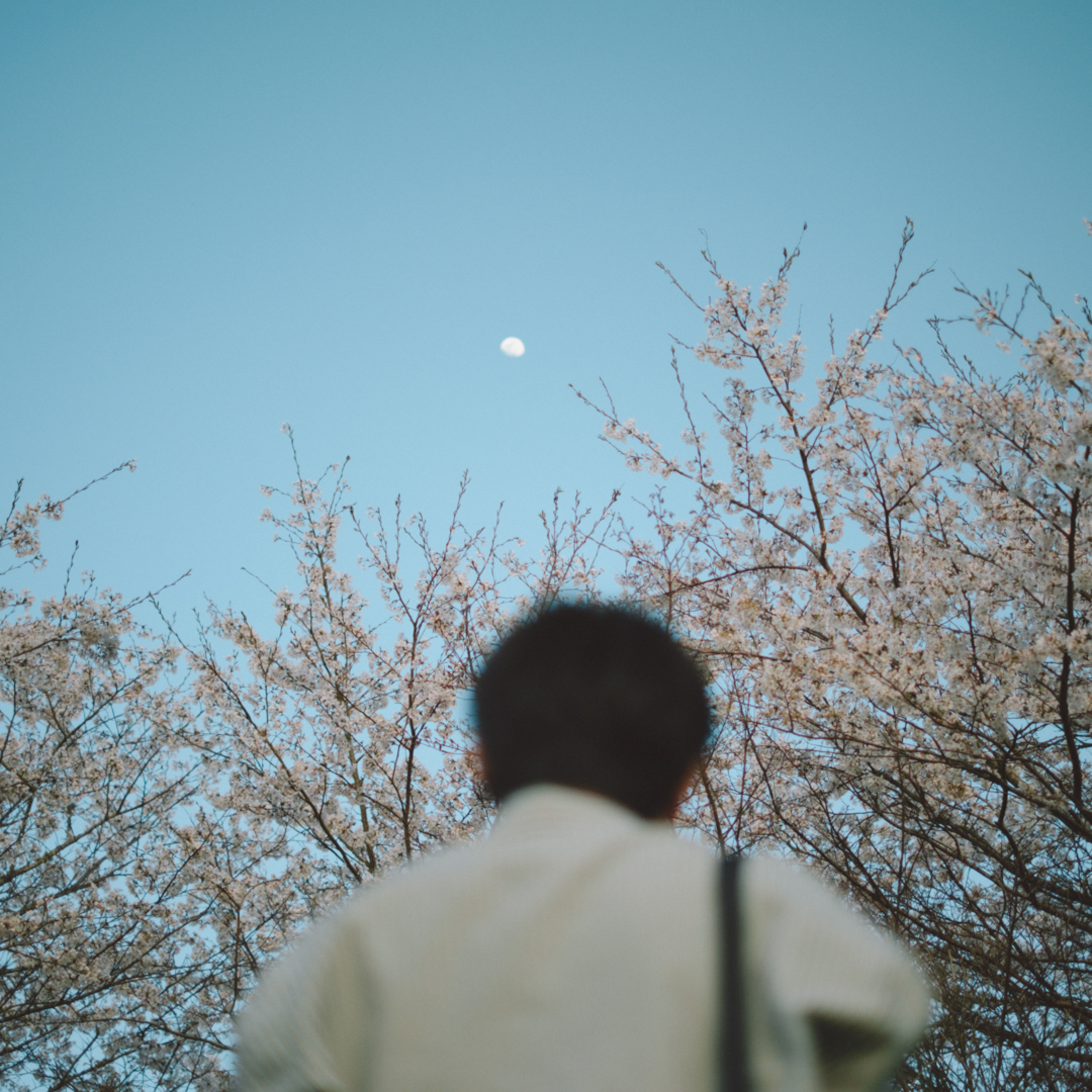 #09 良い物語とは | 映画「秒速5センチメートル」 | RADWIMPS「筆舌」 episode artwork