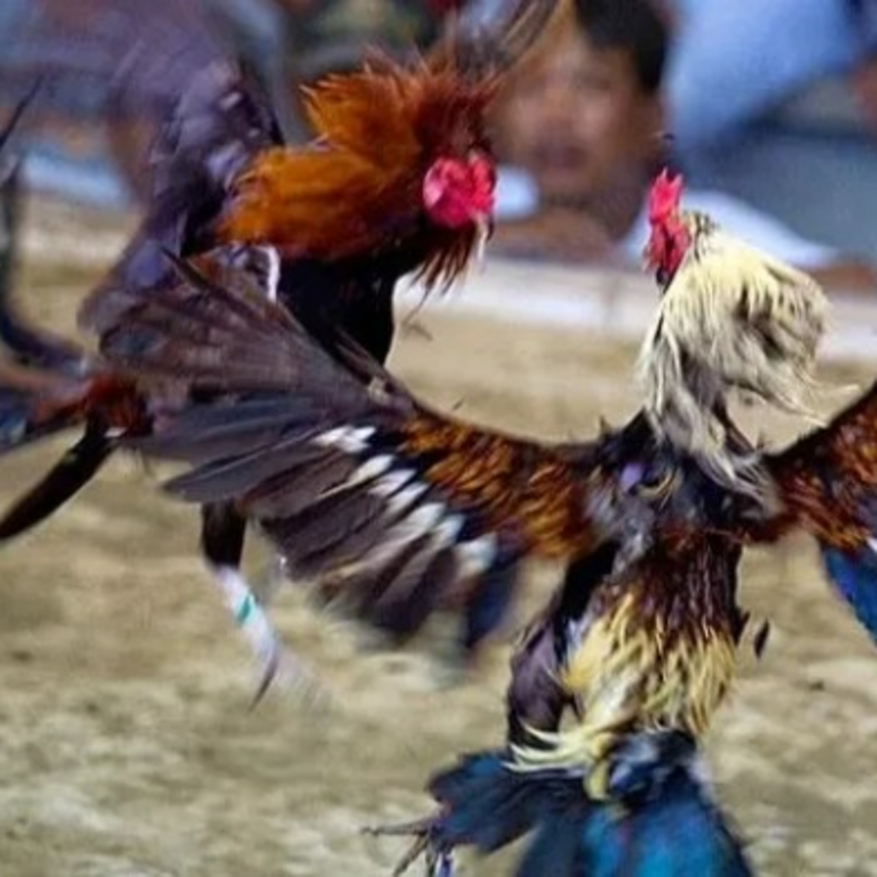 Trạm Dừng Game Thủ