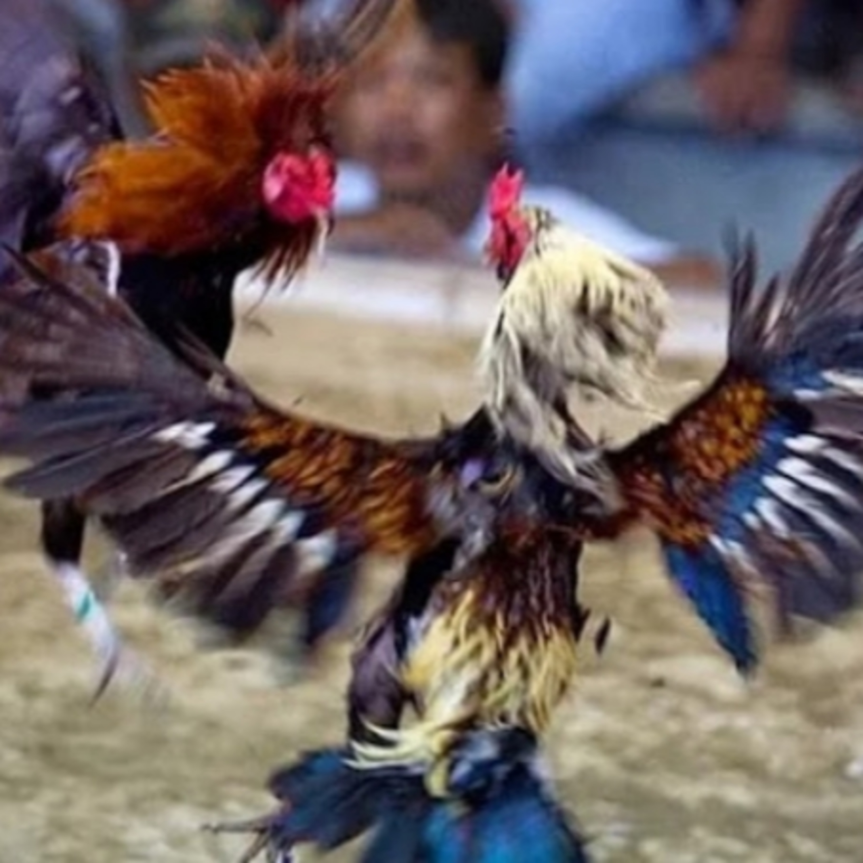 Trạm Dừng Game Thủ
