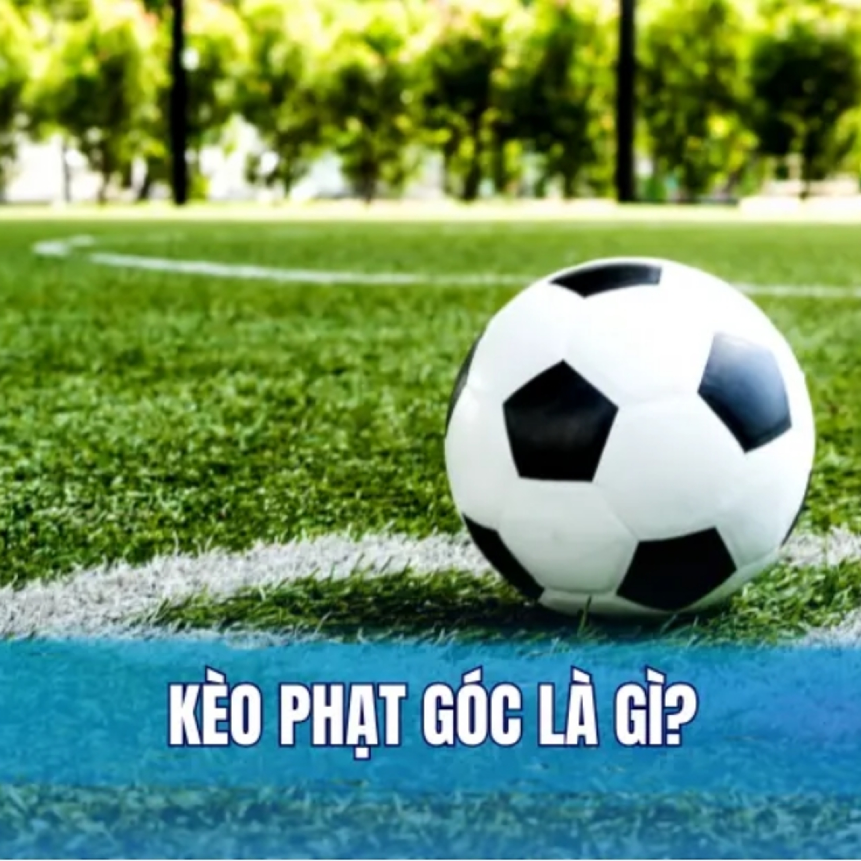 Cách chơi kèo phạt góc bóng đá trên Bong88 episode artwork