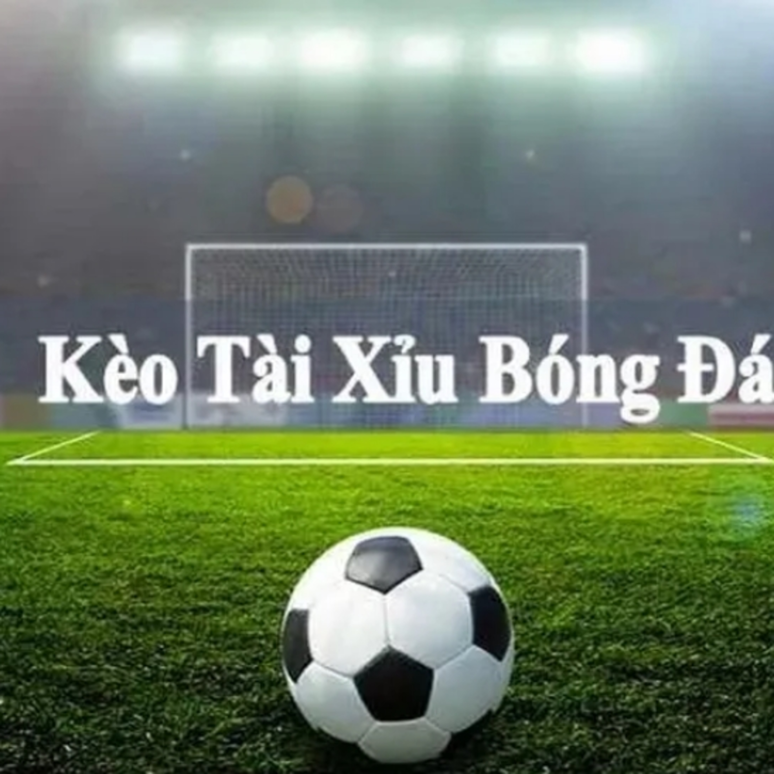 Kèo tài xỉu  episode artwork