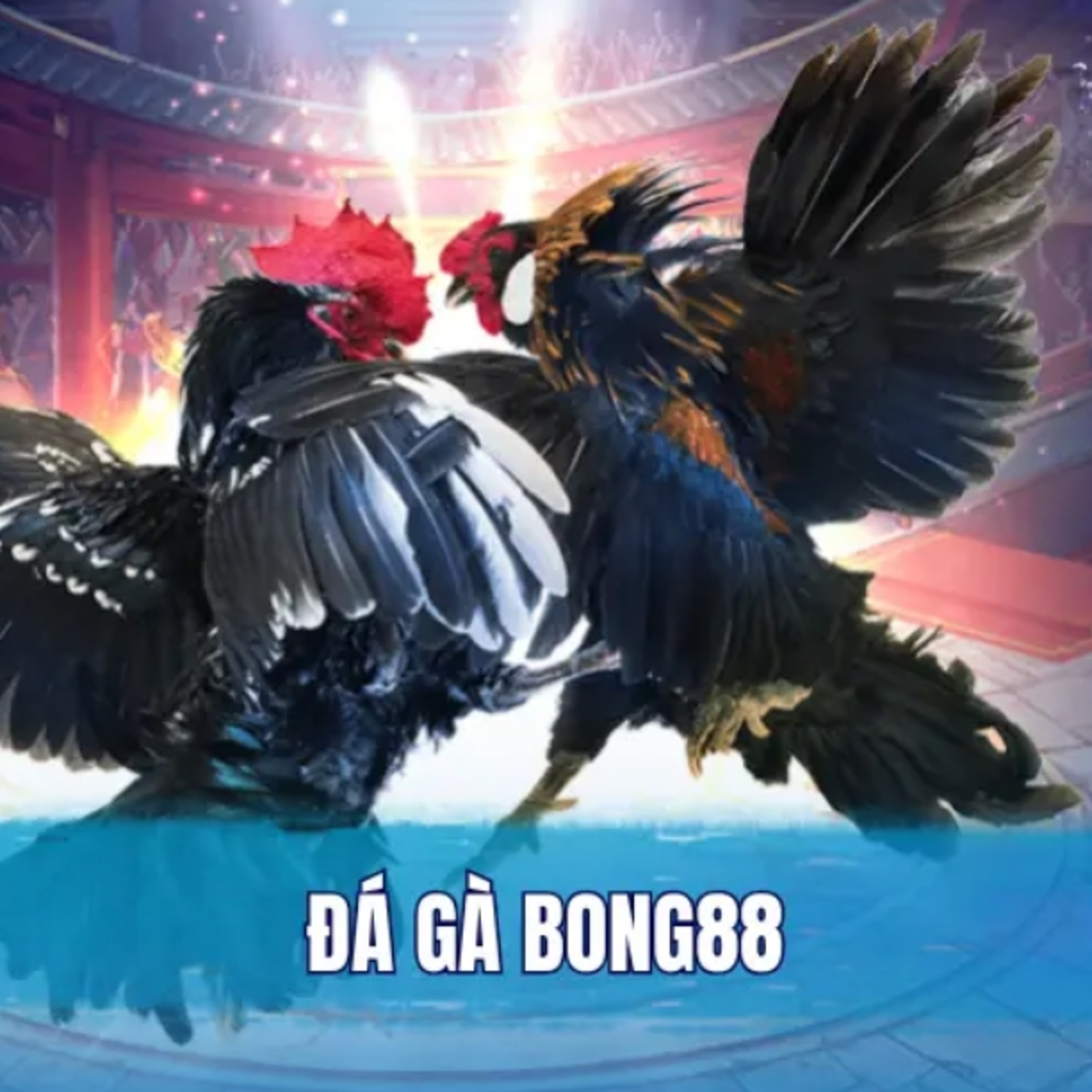 Đá gà Bong88 episode artwork