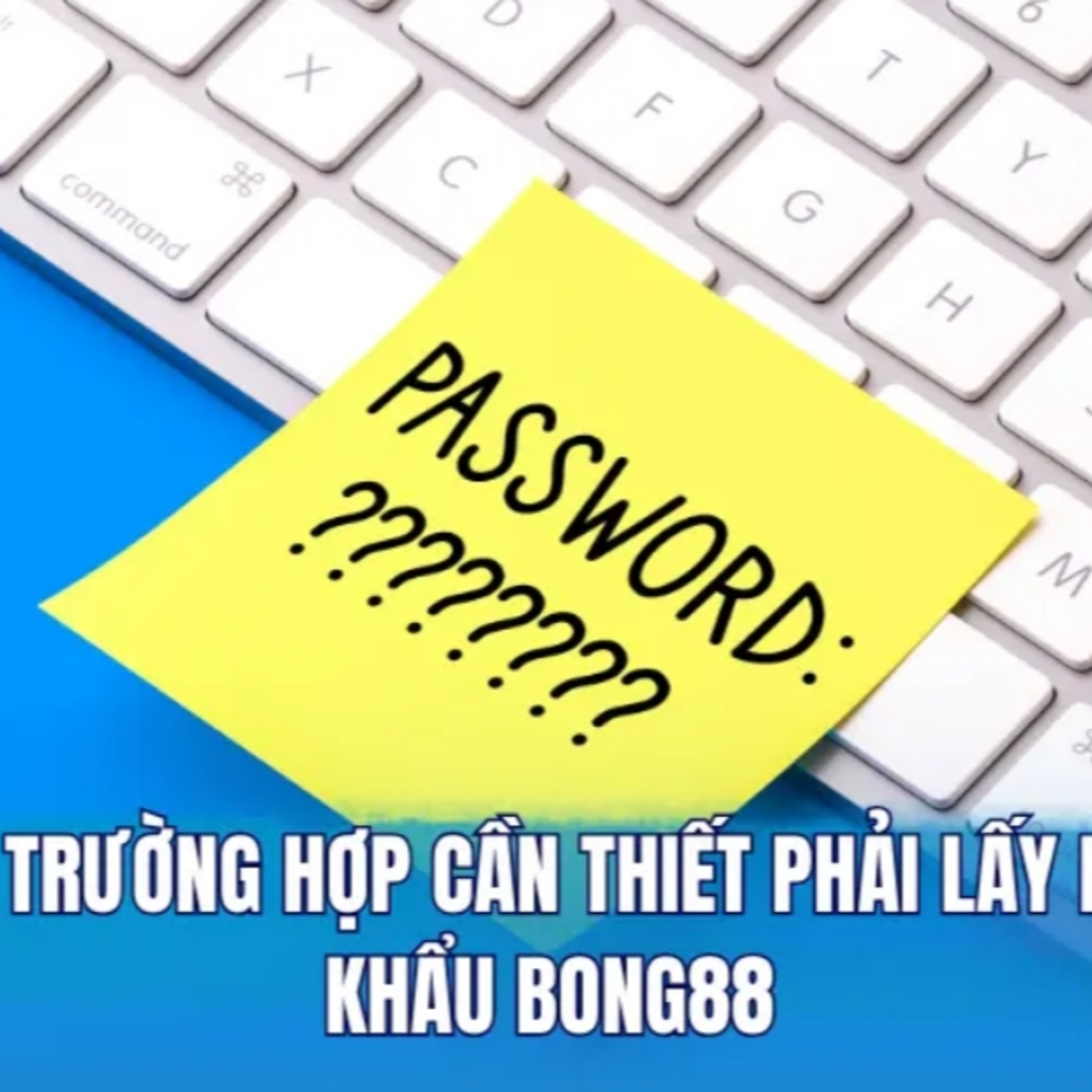 Quên mật khẩu Bong88 episode artwork
