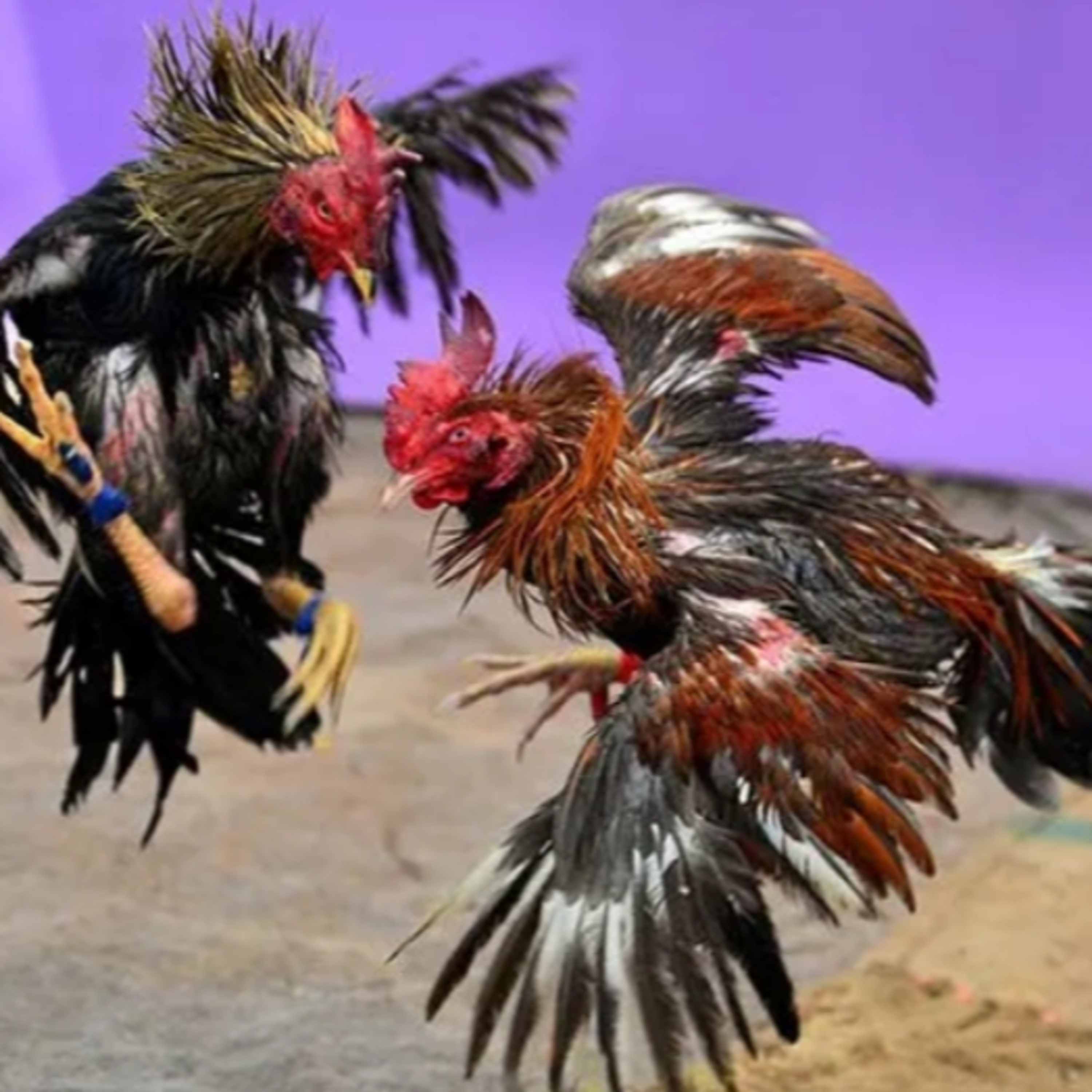 Trạm Dừng Game Thủ