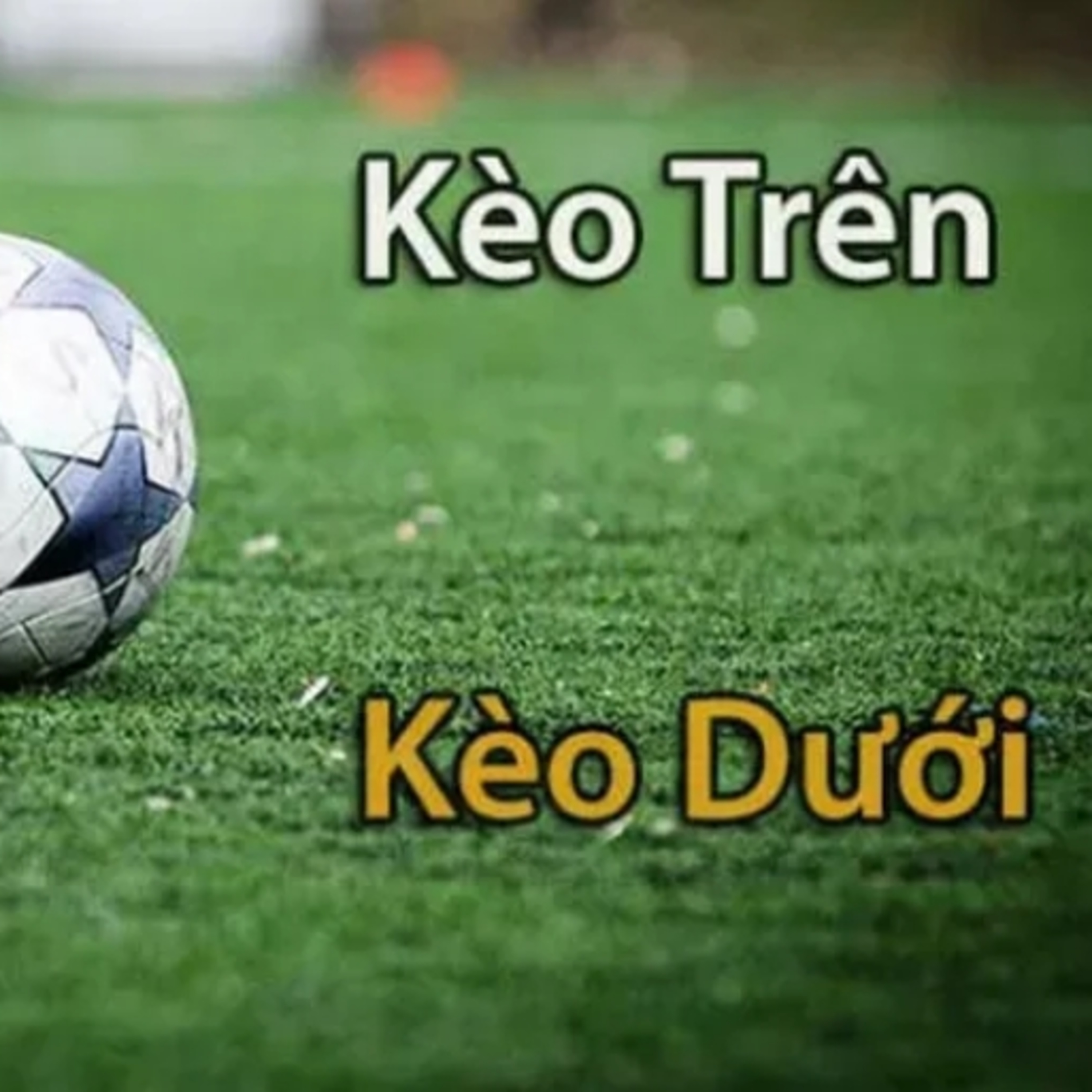 cách chơi Kèo trên kèo dưới episode artwork