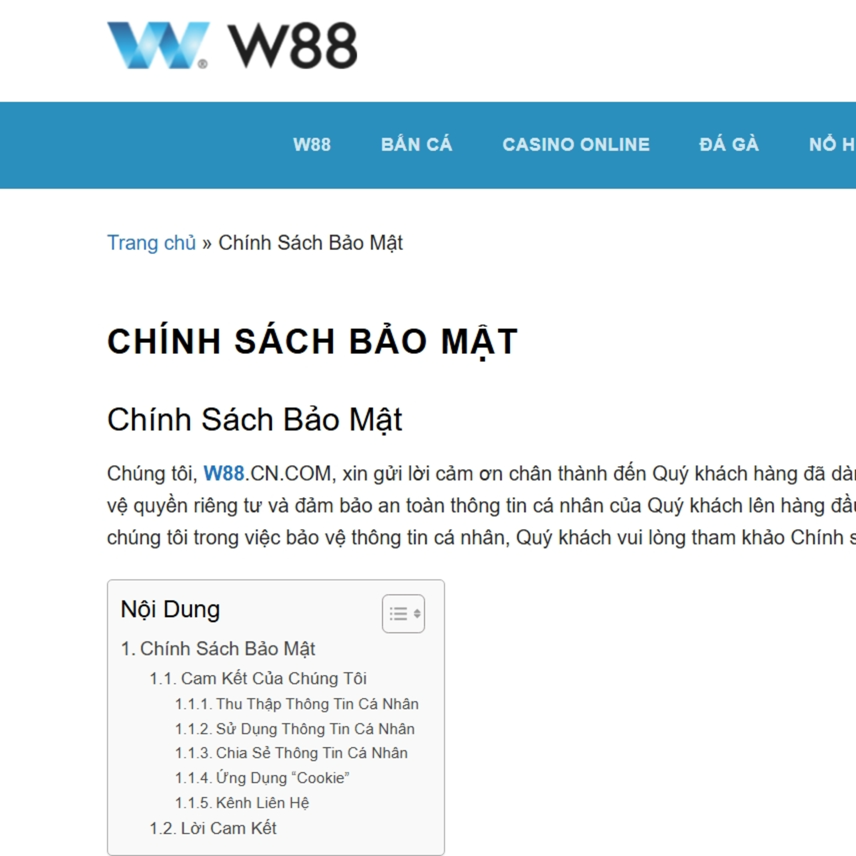 Chính Sách Bảo Mật  episode artwork