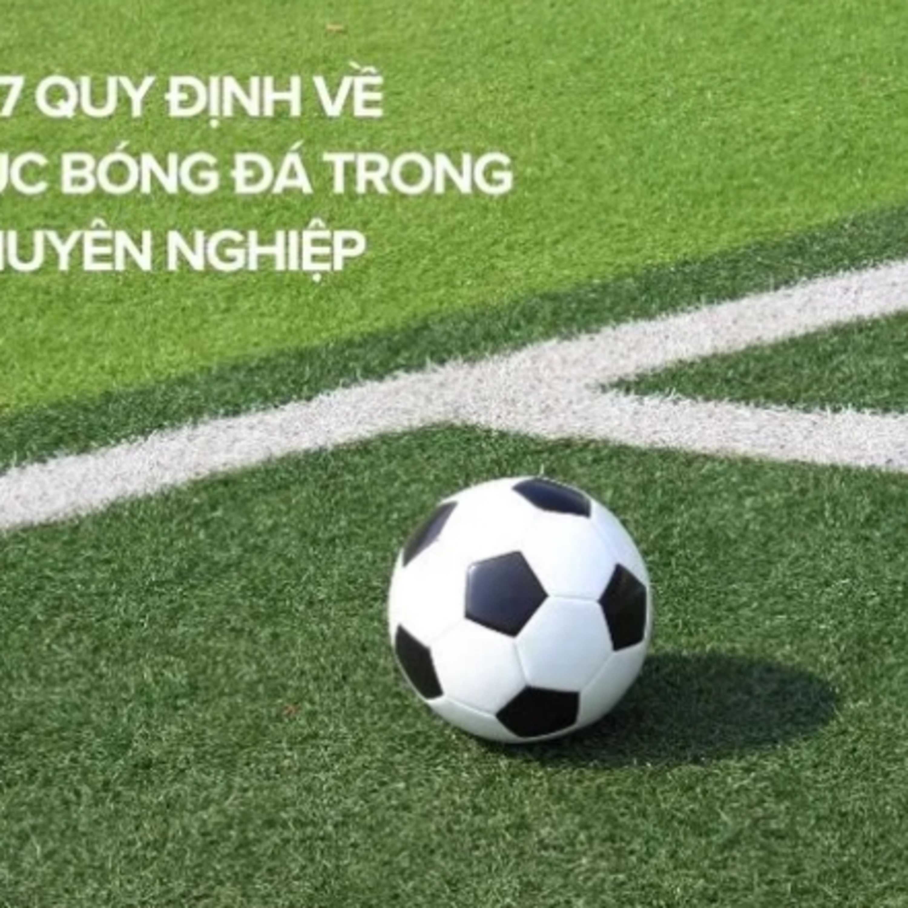 Quy định về trang phục bóng đá nagoya episode artwork