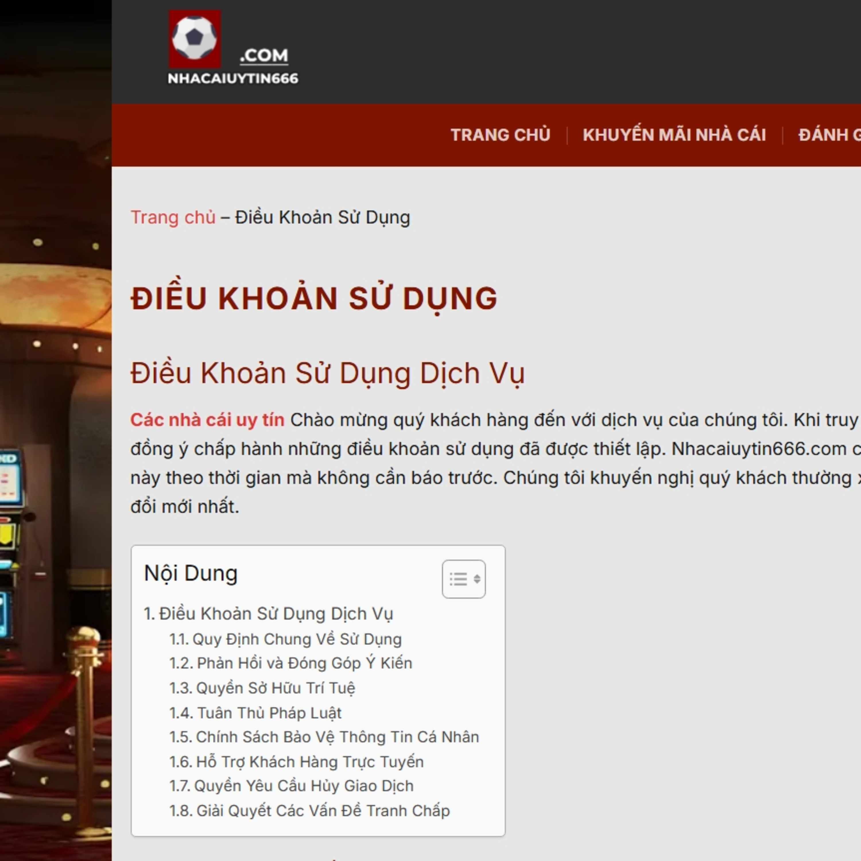 Điều khoản sử dụng episode artwork