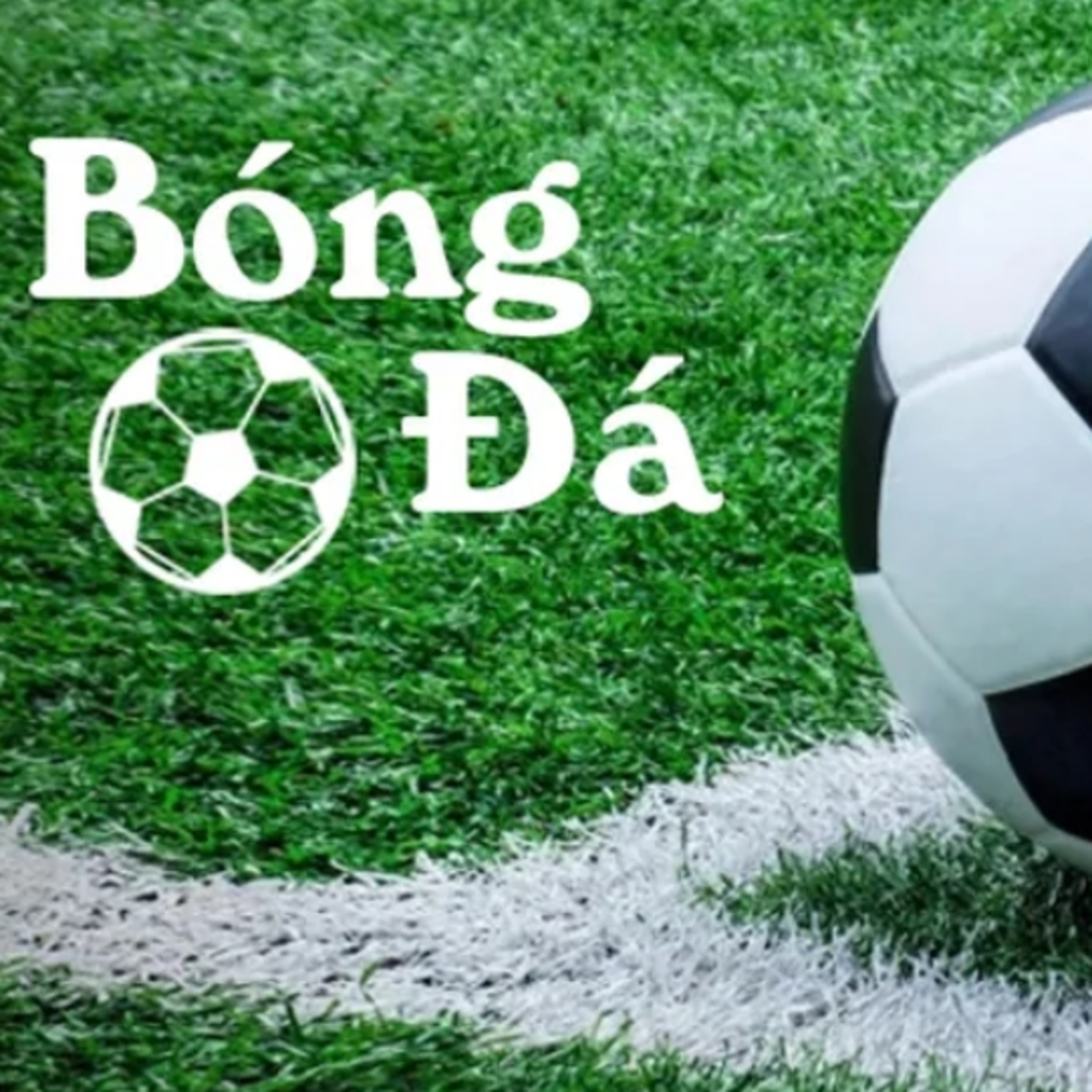 Bóng trong cuộc và bóng ngoài cuộc nagoya episode artwork