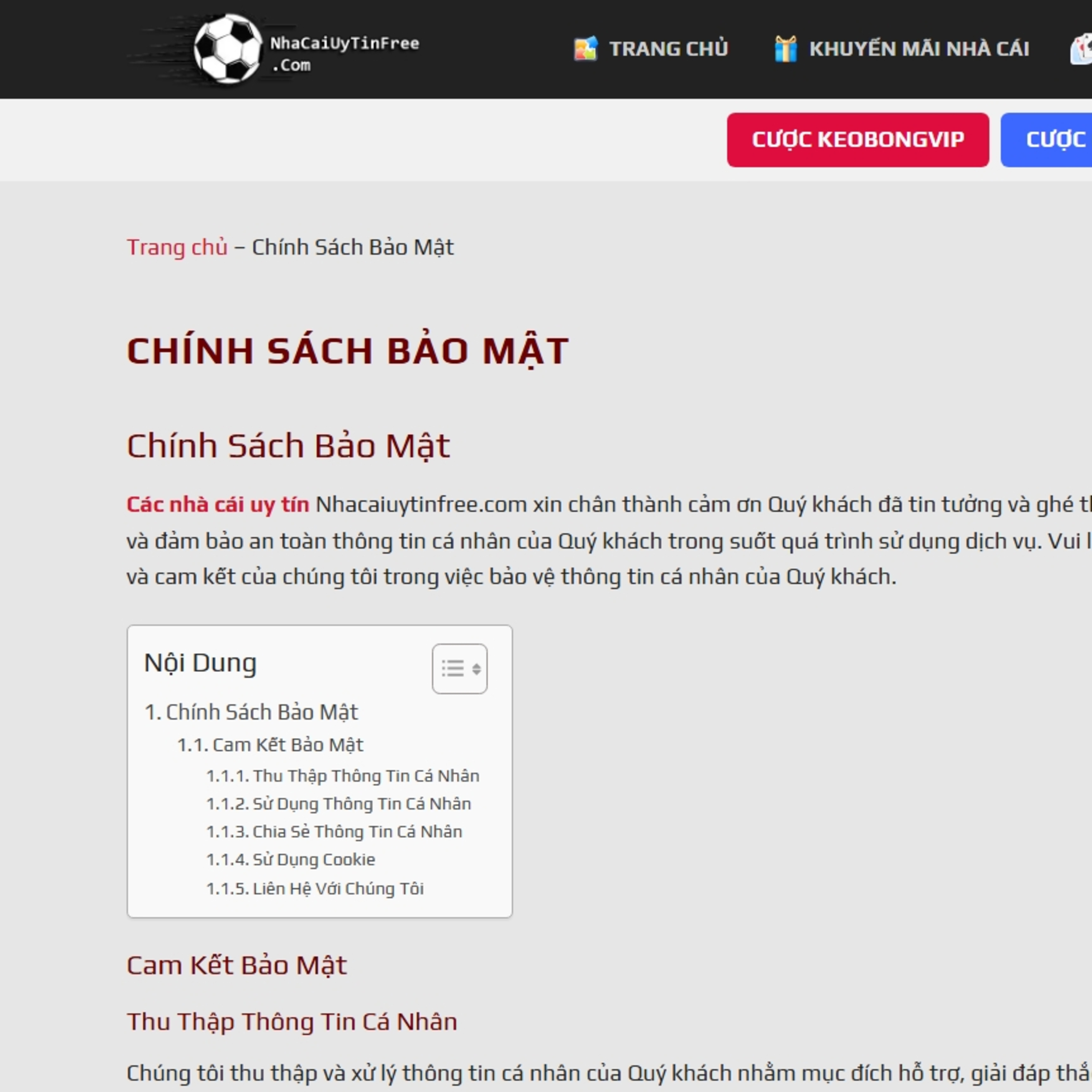 Chính sách bảo mật free episode artwork