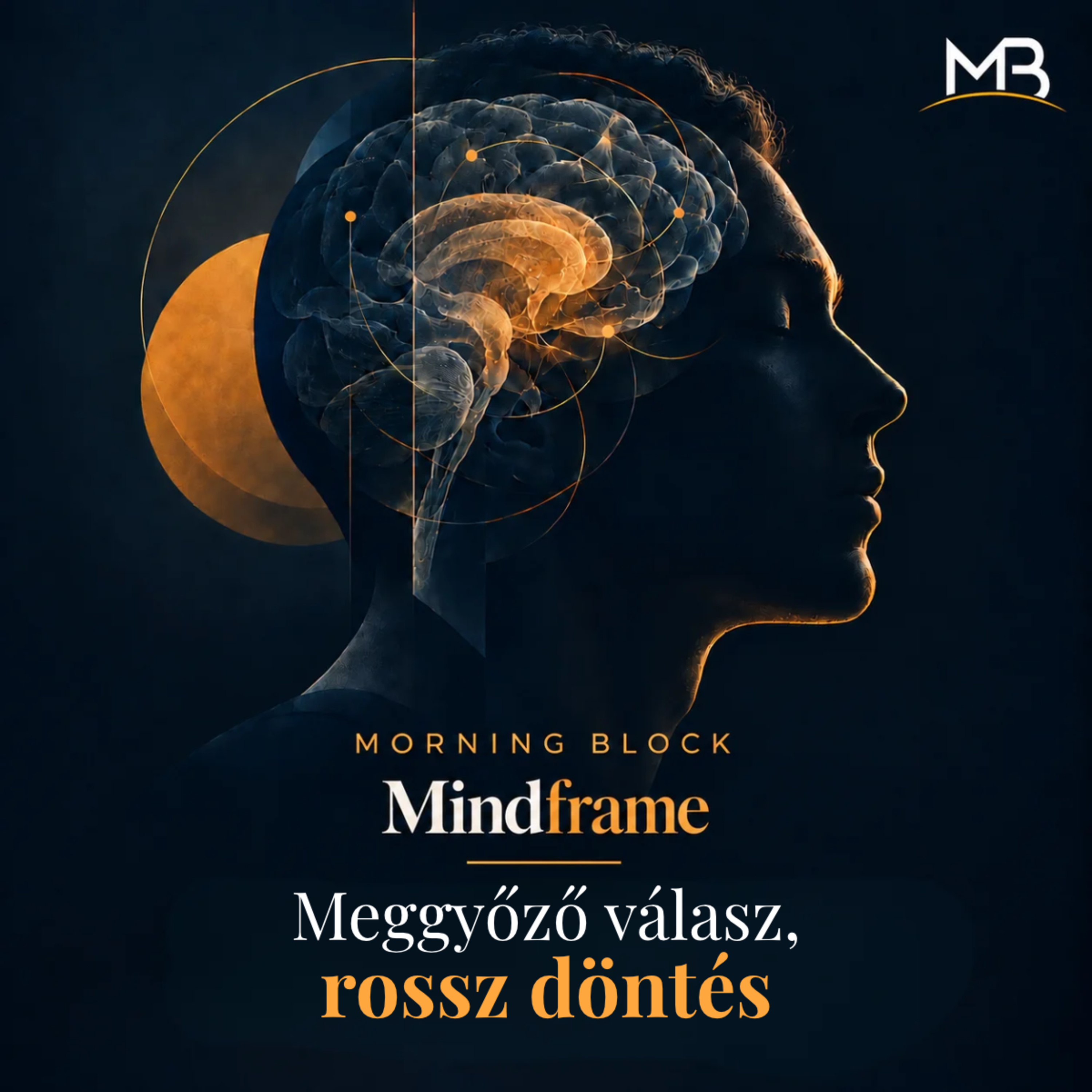 Meggyőző válasz, rossz döntés | Morning Block: Mindframe