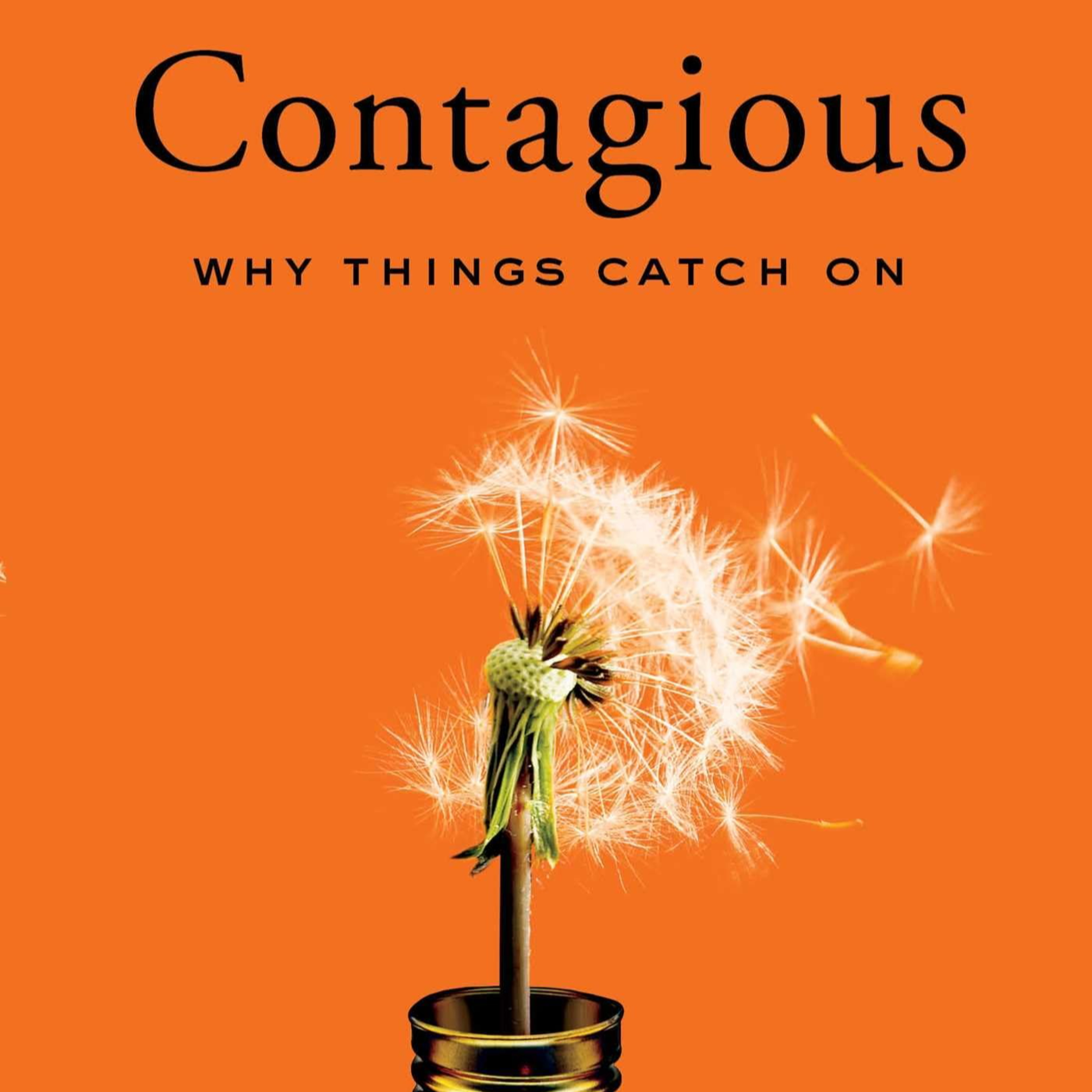 The Grind Chronicles