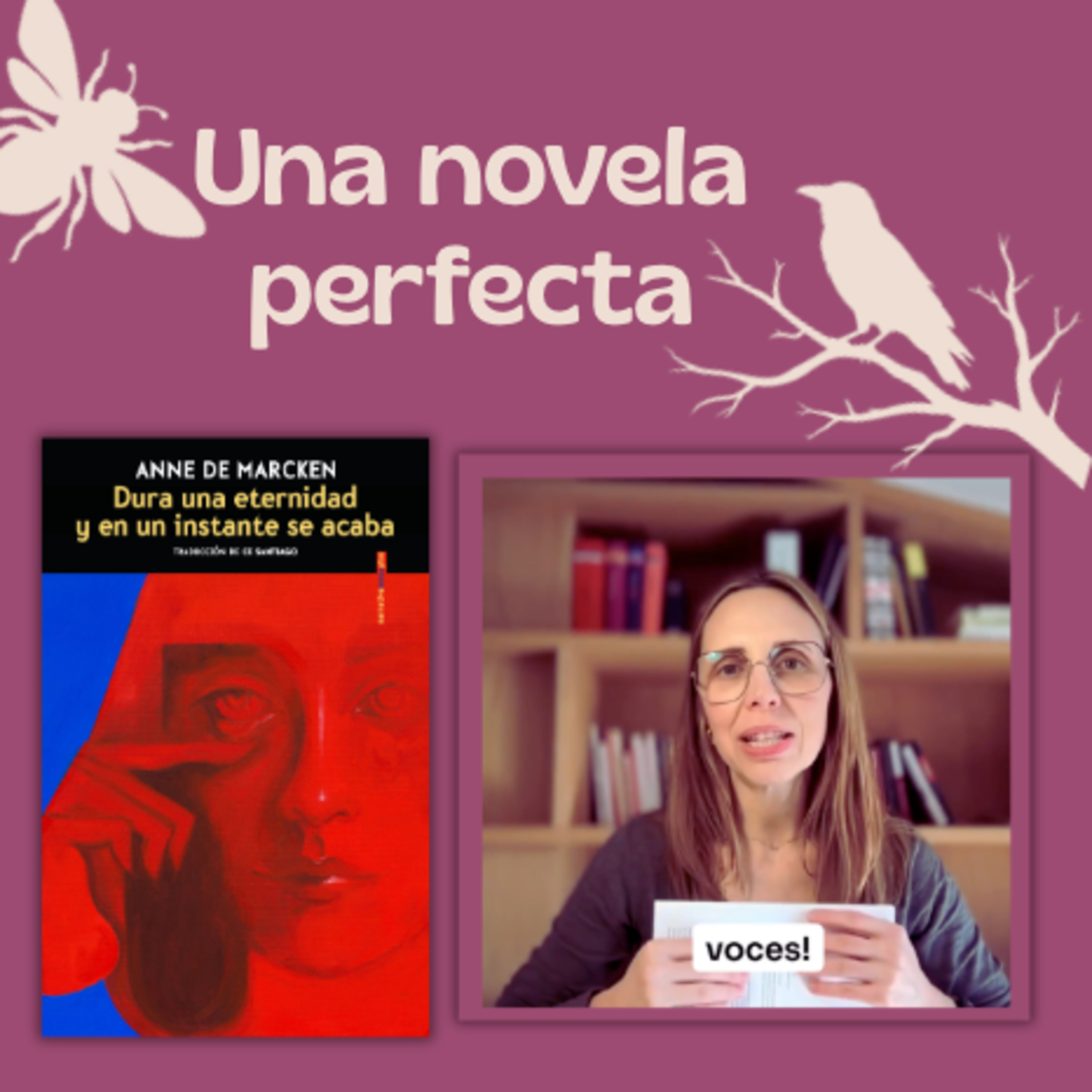 Anne de Marcken: una novela perfecta  episode artwork