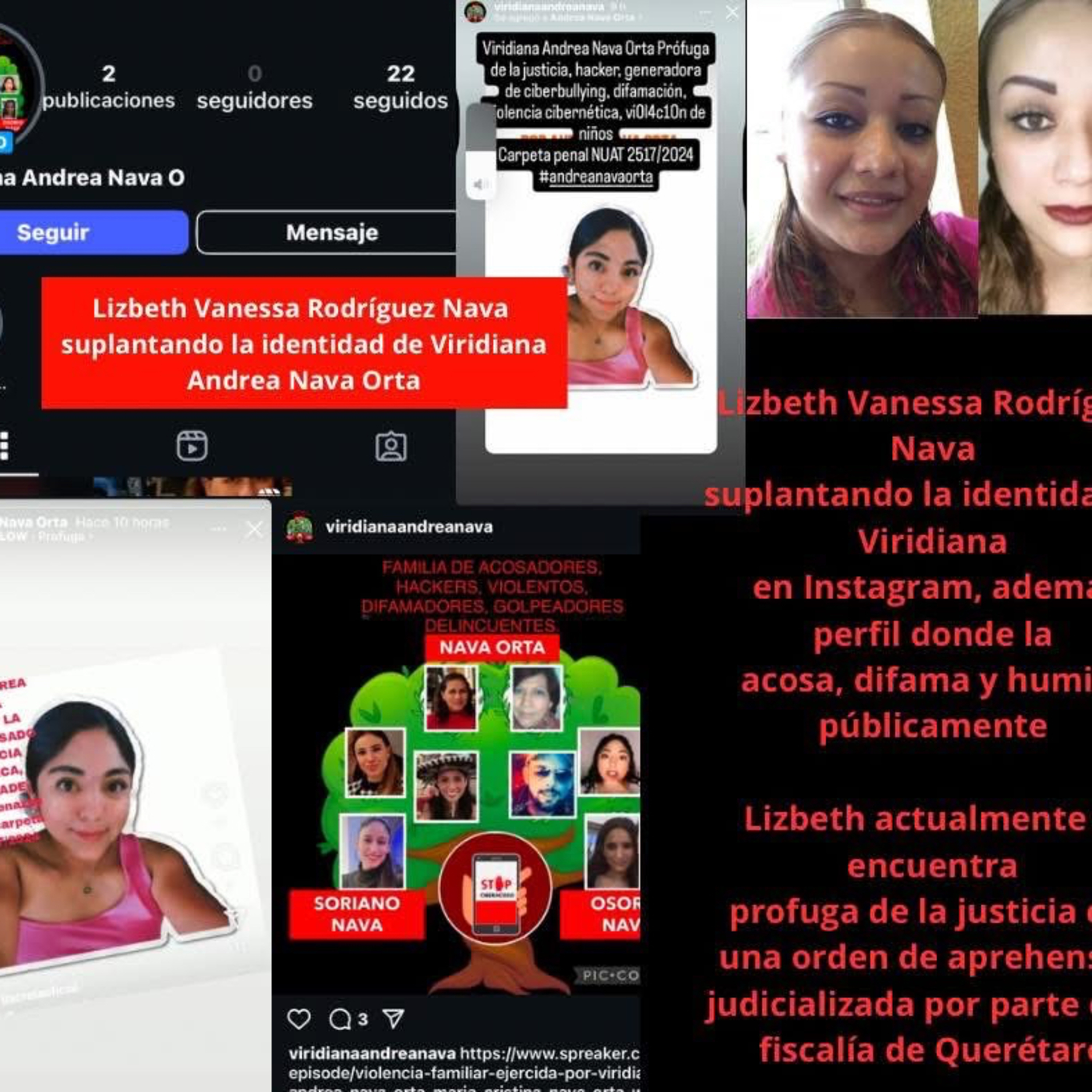 Entre el dolor y la verdad