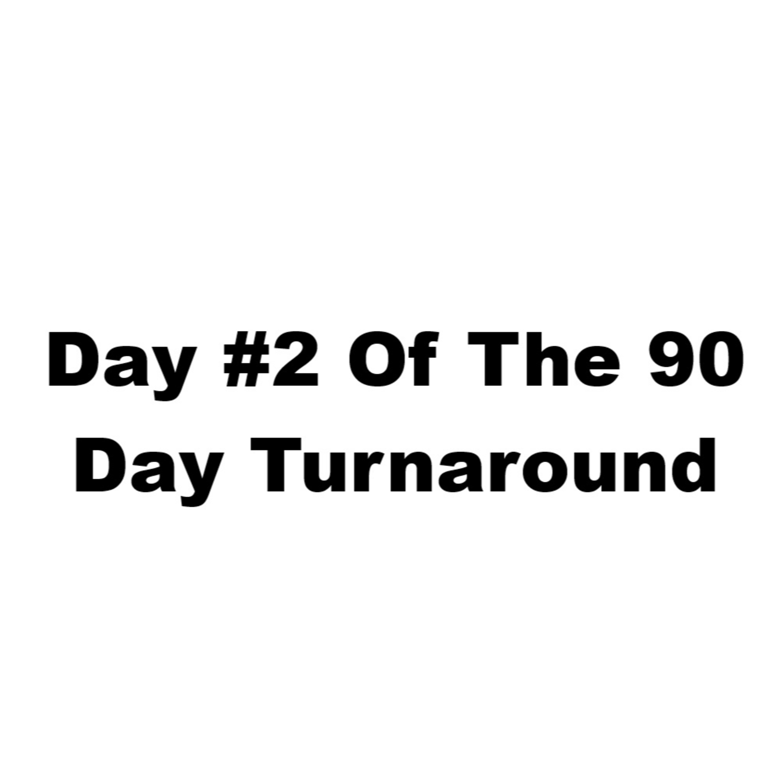 The 90 Day Turnaround, Day #2 |EP #185 episode artwork