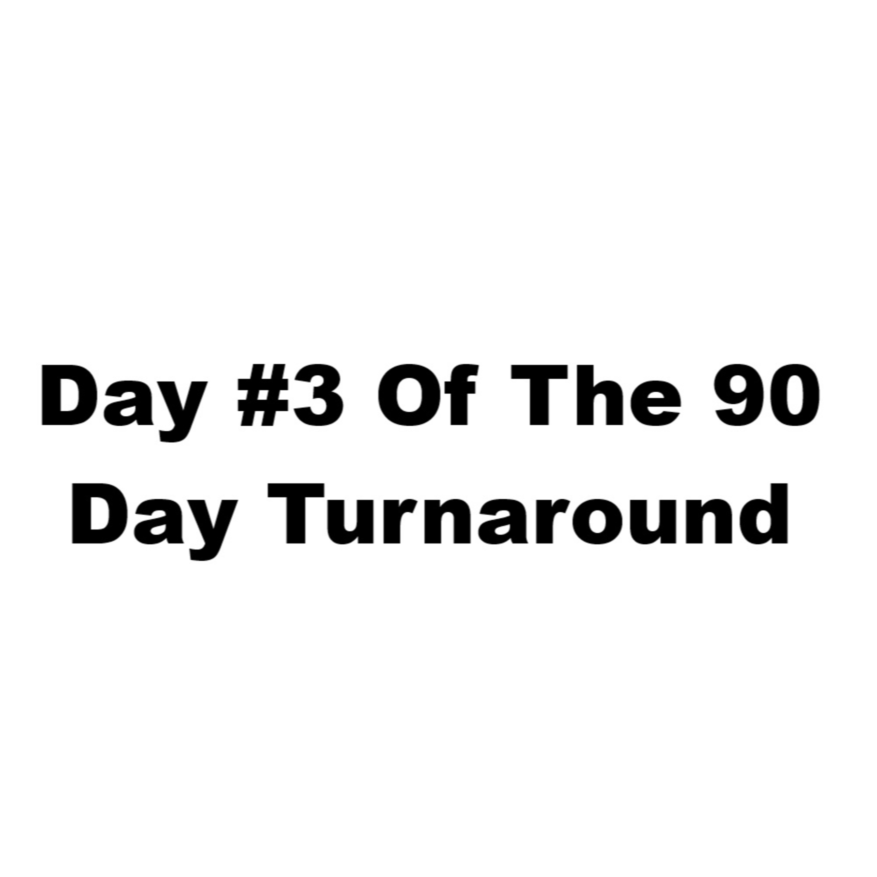 The 90 Day Turnaround, Day #3 |EP #186 episode artwork