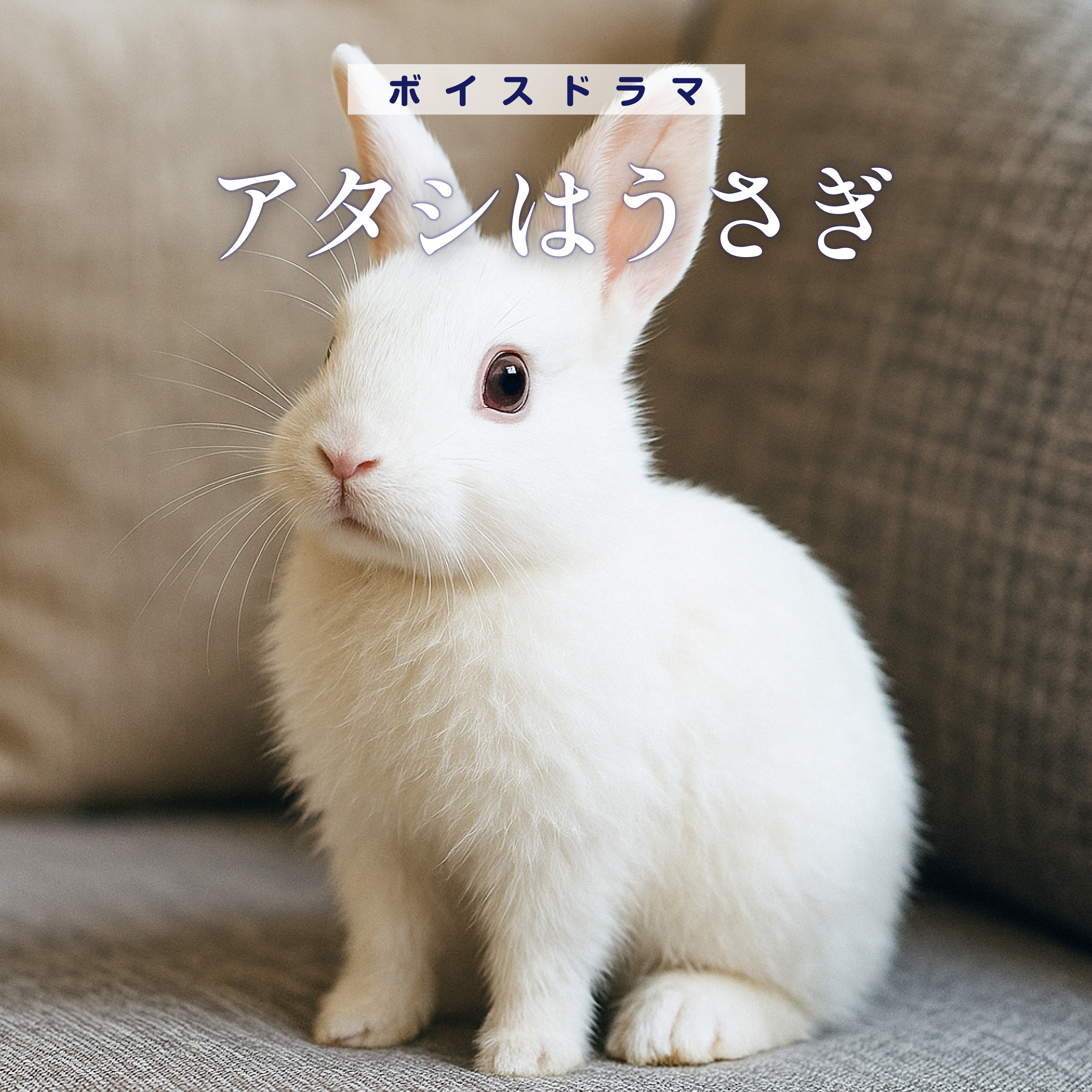 ボイスドラマ「アタシはうさぎ」 episode artwork
