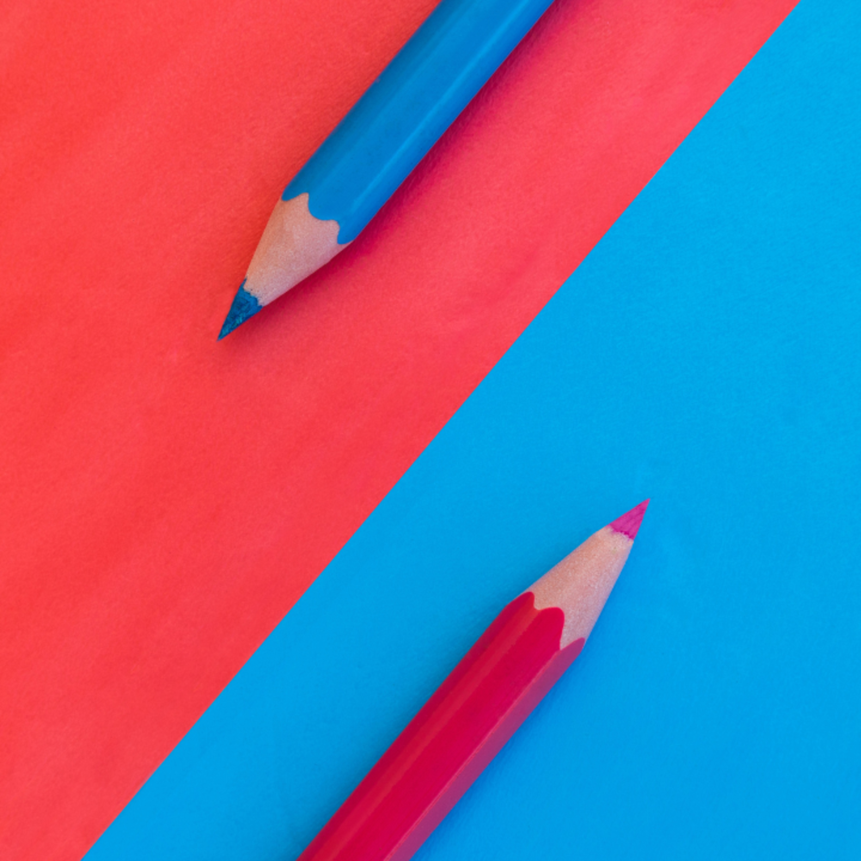 What’s Really Driving Canada’s Political Polarization?