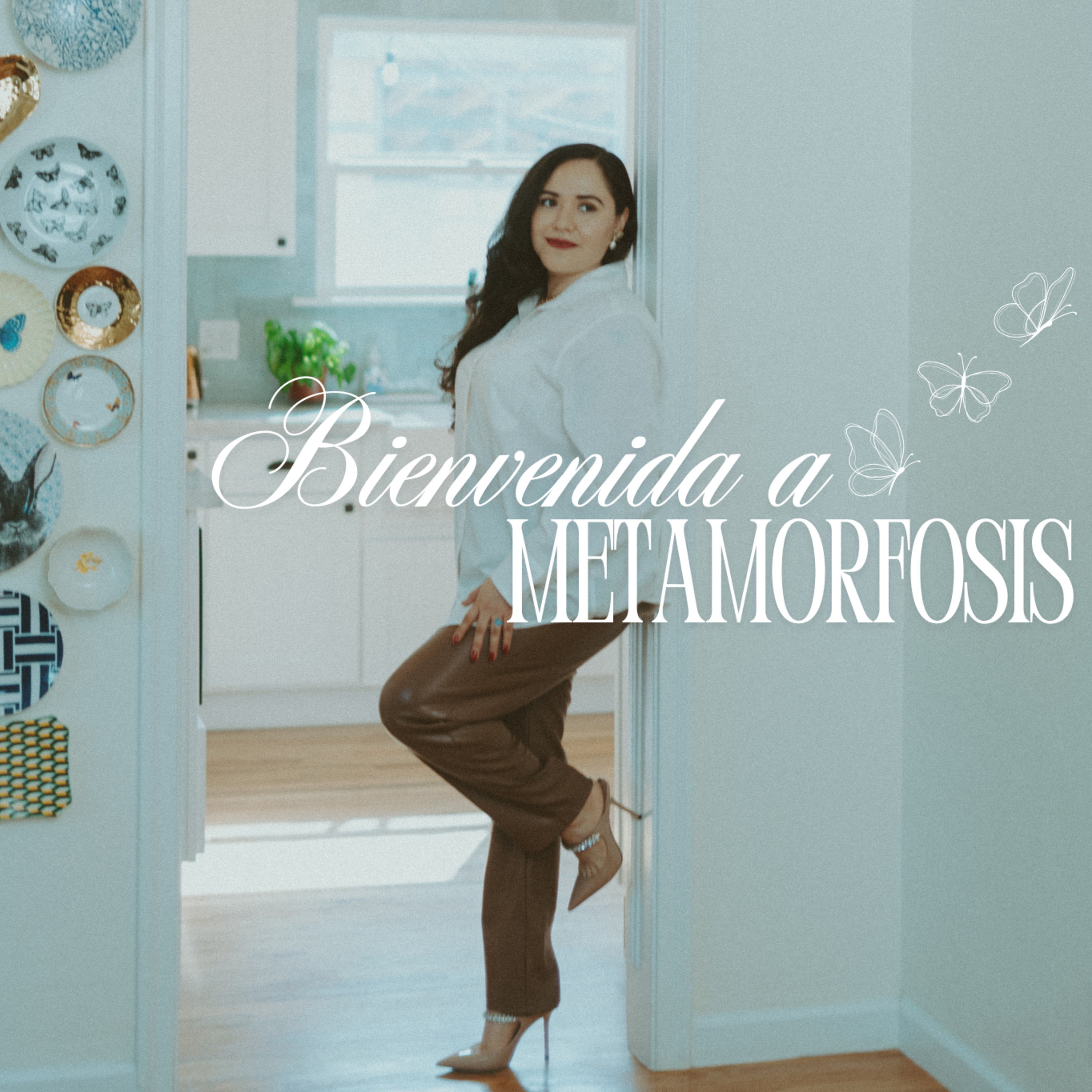 Portada de Metamorfosis