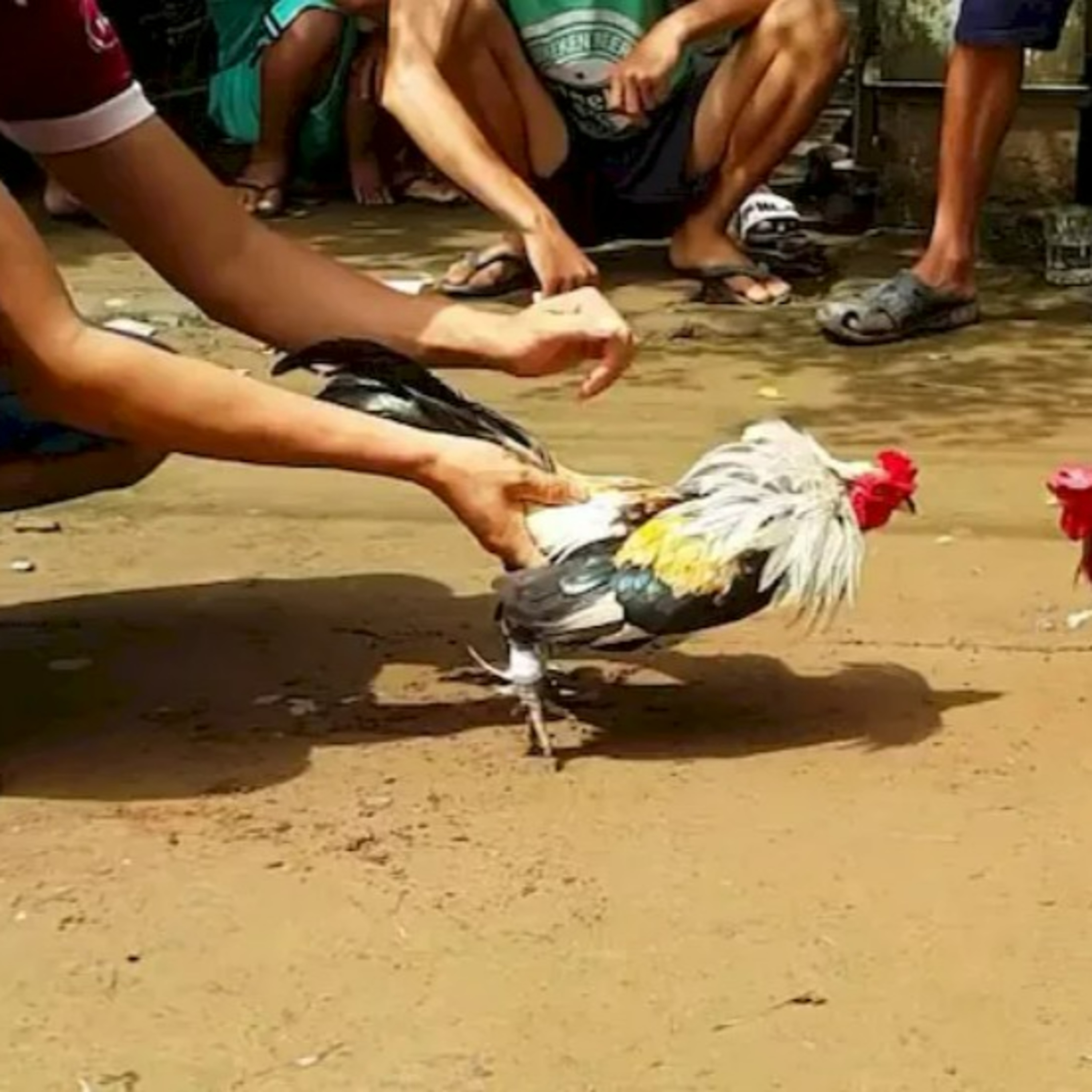 Thế Giới Trò Chơi 360