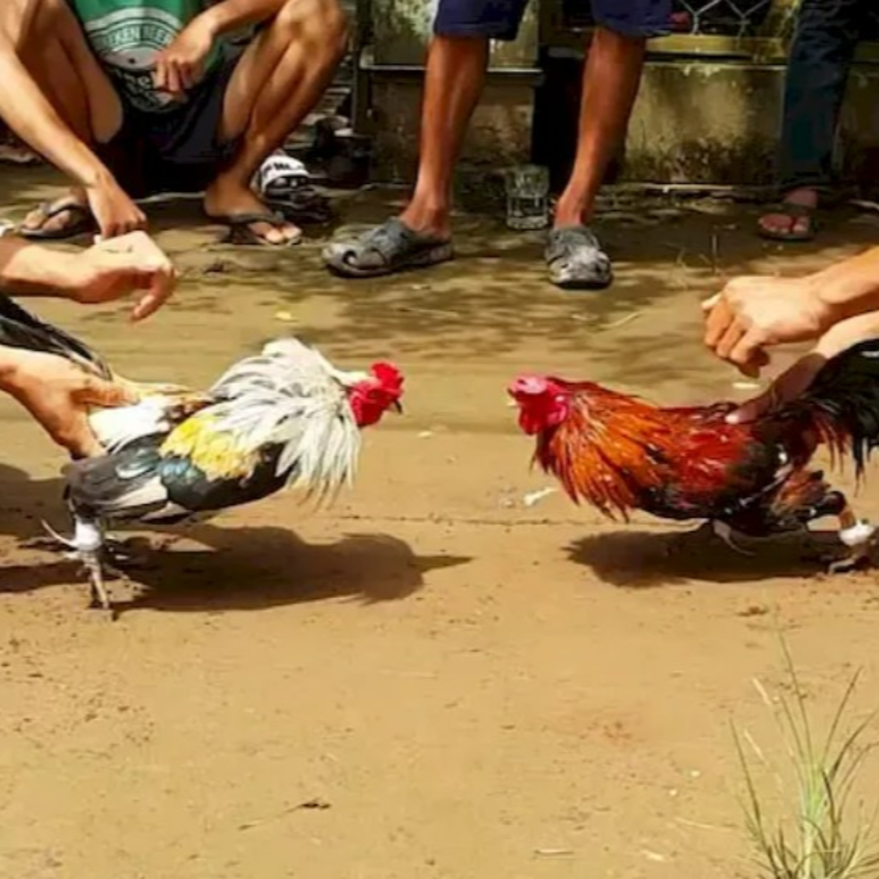 Thế Giới Trò Chơi 360