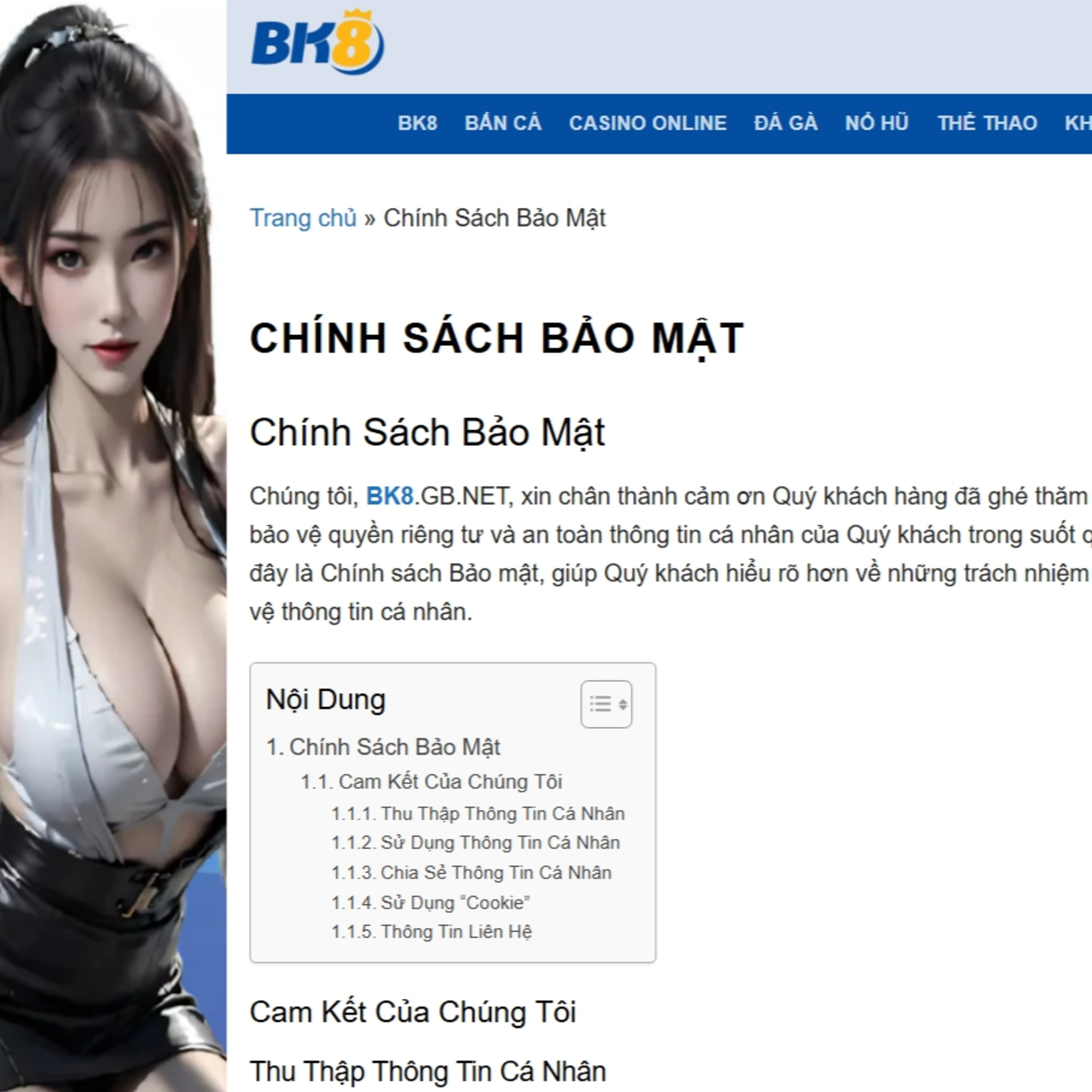 Chính sách bảo mật của BK8 episode artwork