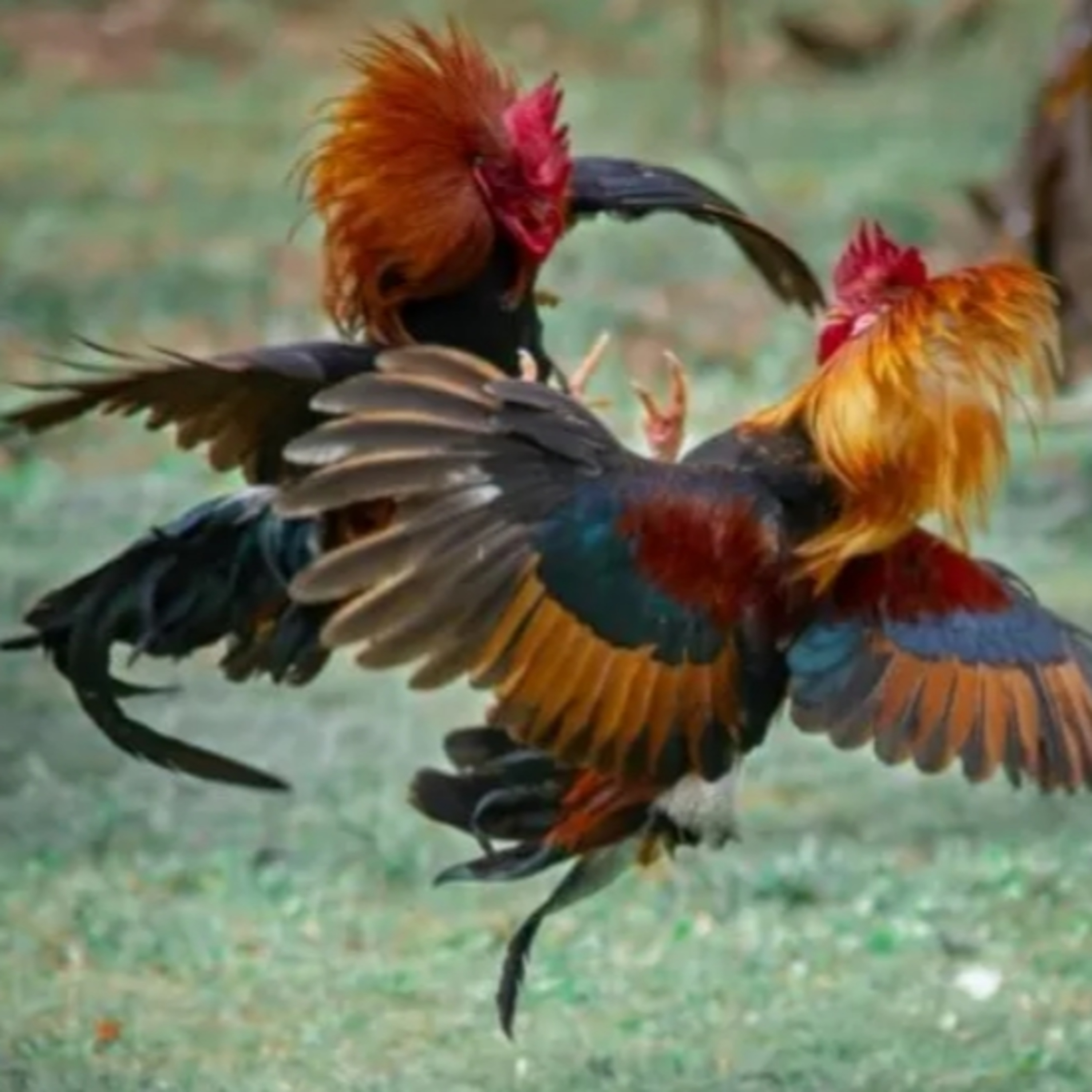 Thế Giới Trò Chơi 360