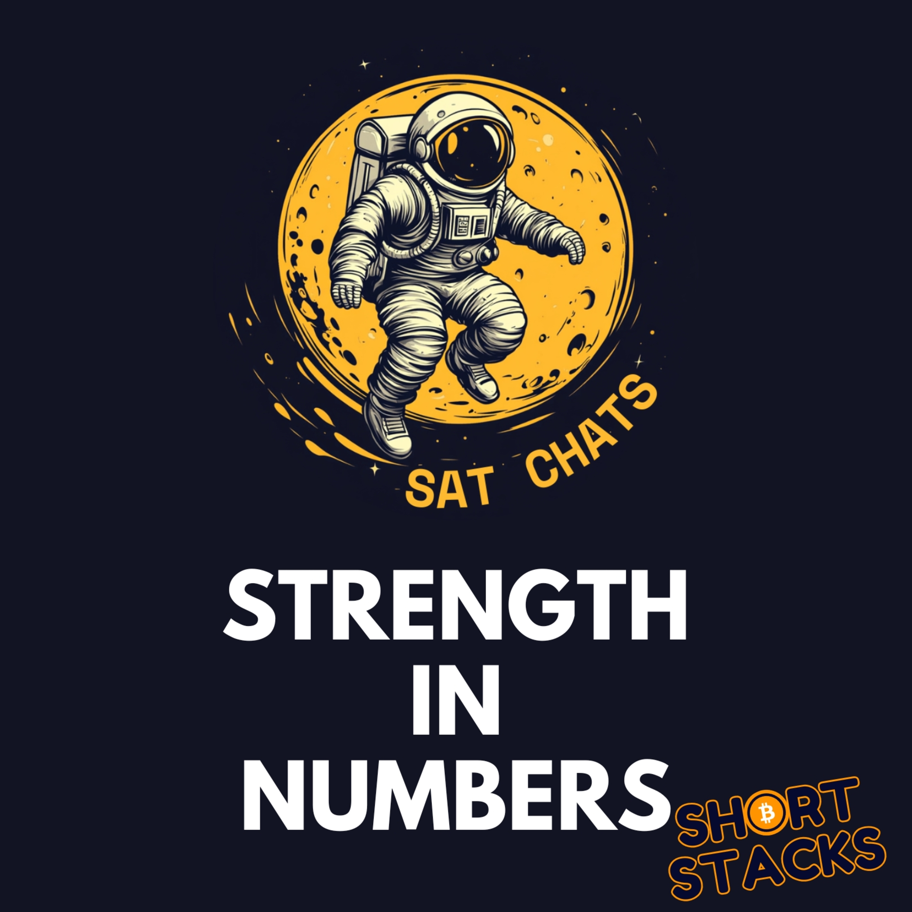 What’s a Bitcoin Node? | Ep. 23 — Sat Chats Short Stacks