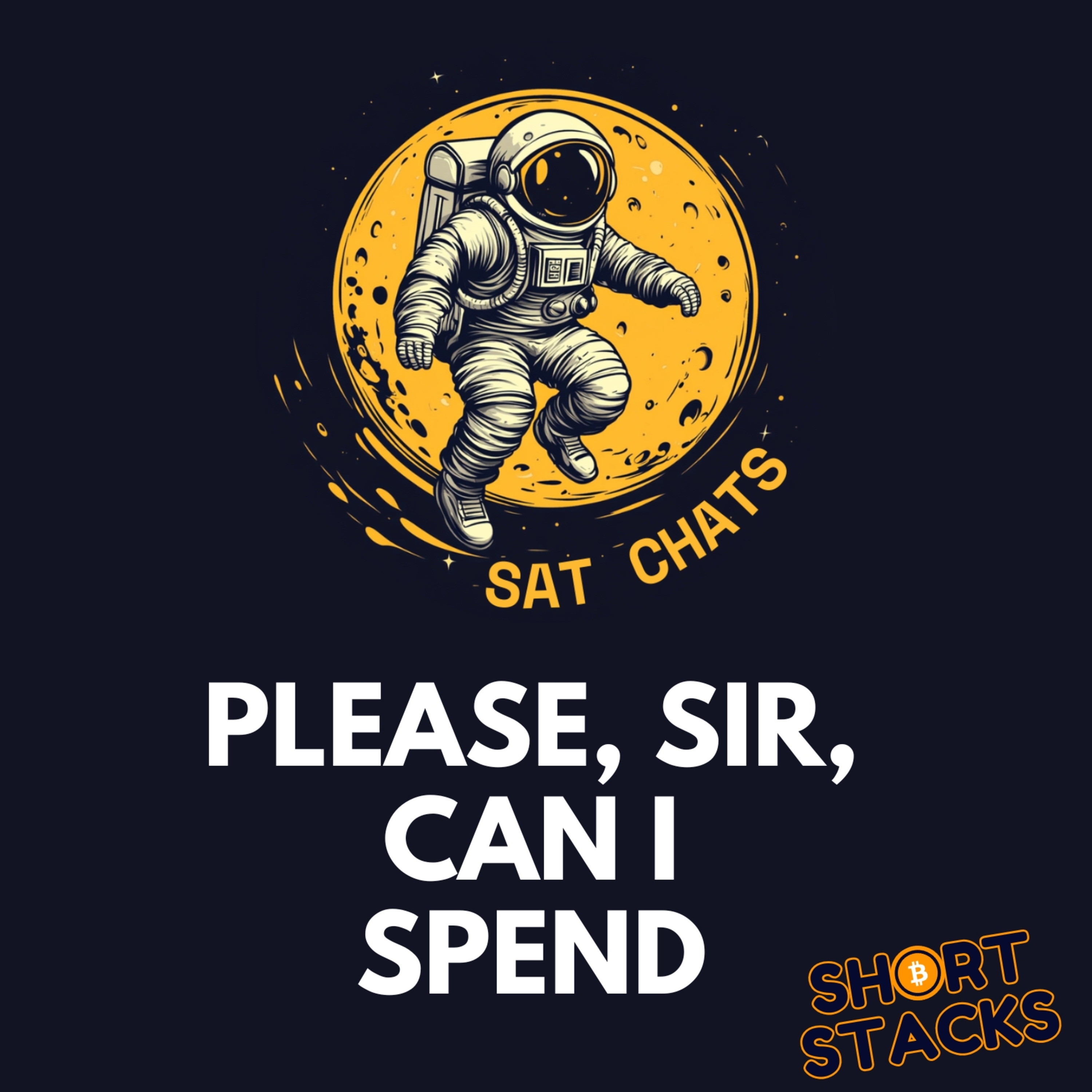 Does Money Centralization Strip Your Financial Freedom? | Ep. 26 — Sat Chats Short Stacks