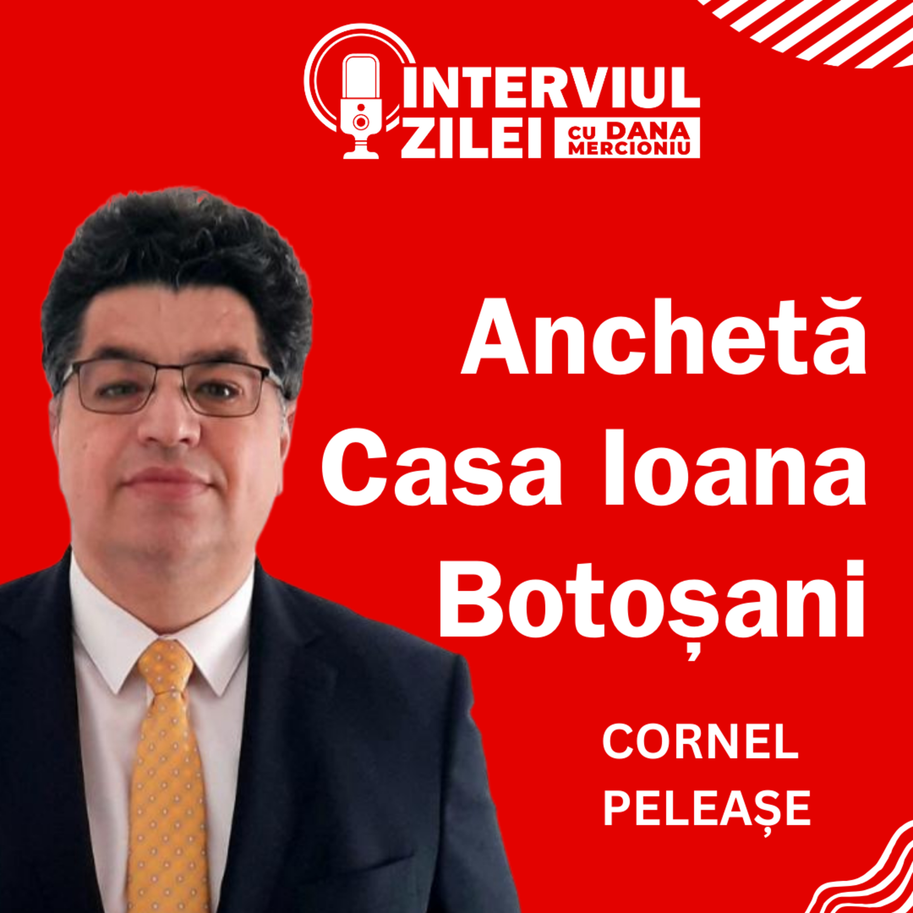 Casa Ioana din Botoșani - dezvăluiri despre o anchetă în desfășuare | Cornel Peleașe episode artwork