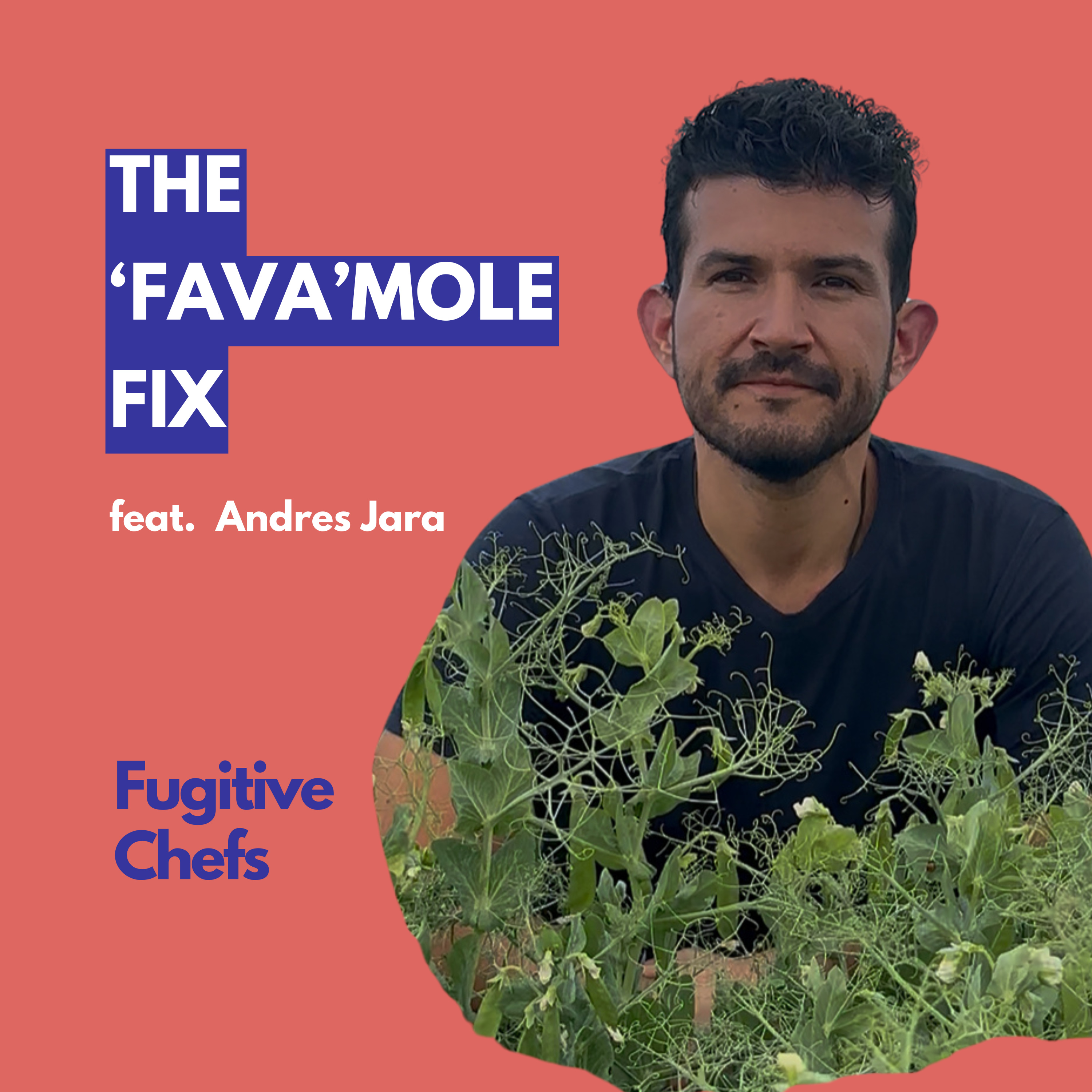 From Chef to Entrepreneur: The Fava Mole Journey episode artwork