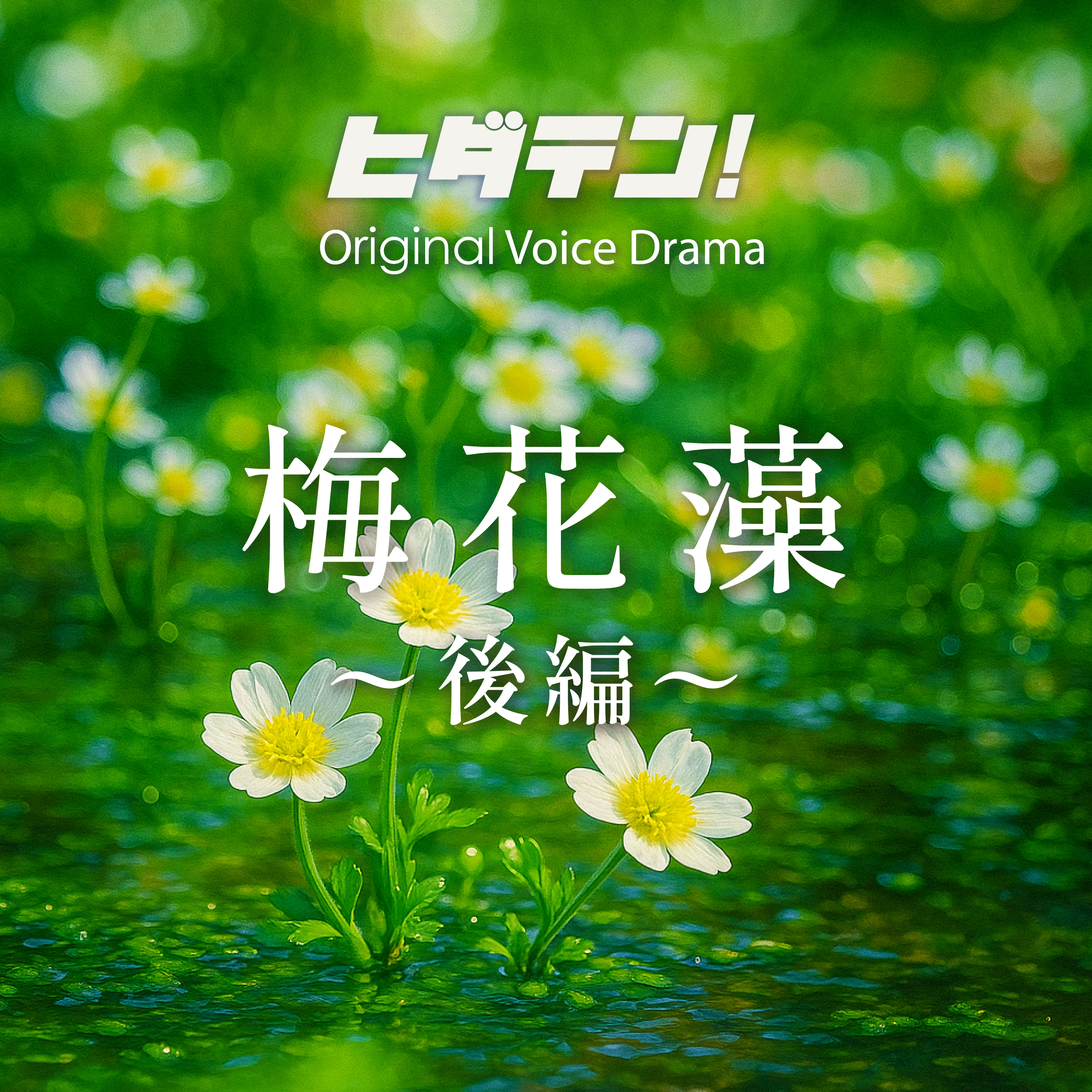 ボイスドラマ「梅花藻／後編（飛騨一之宮編）」