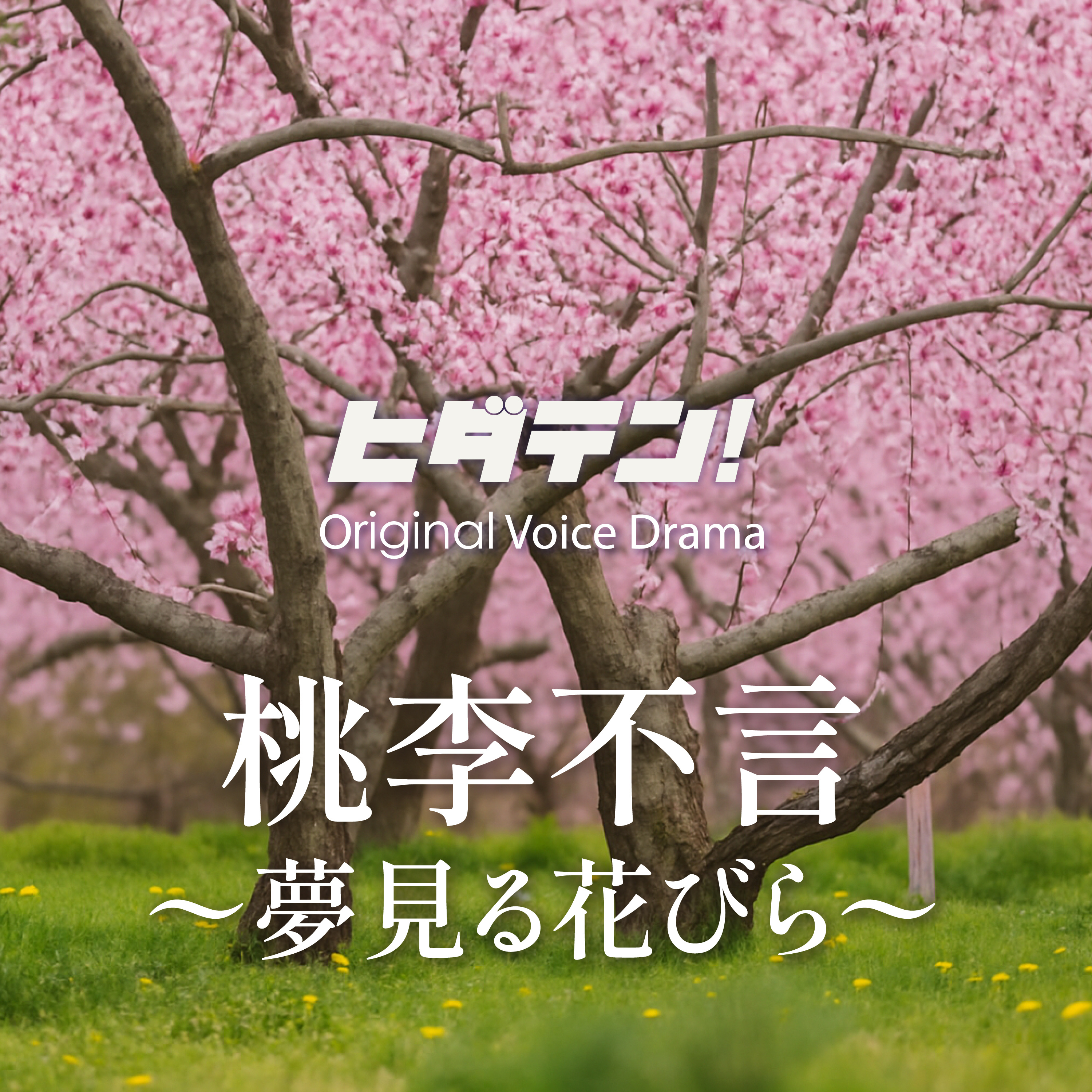 ボイスドラマ「桃李不言〜夢見る花びら」 episode artwork