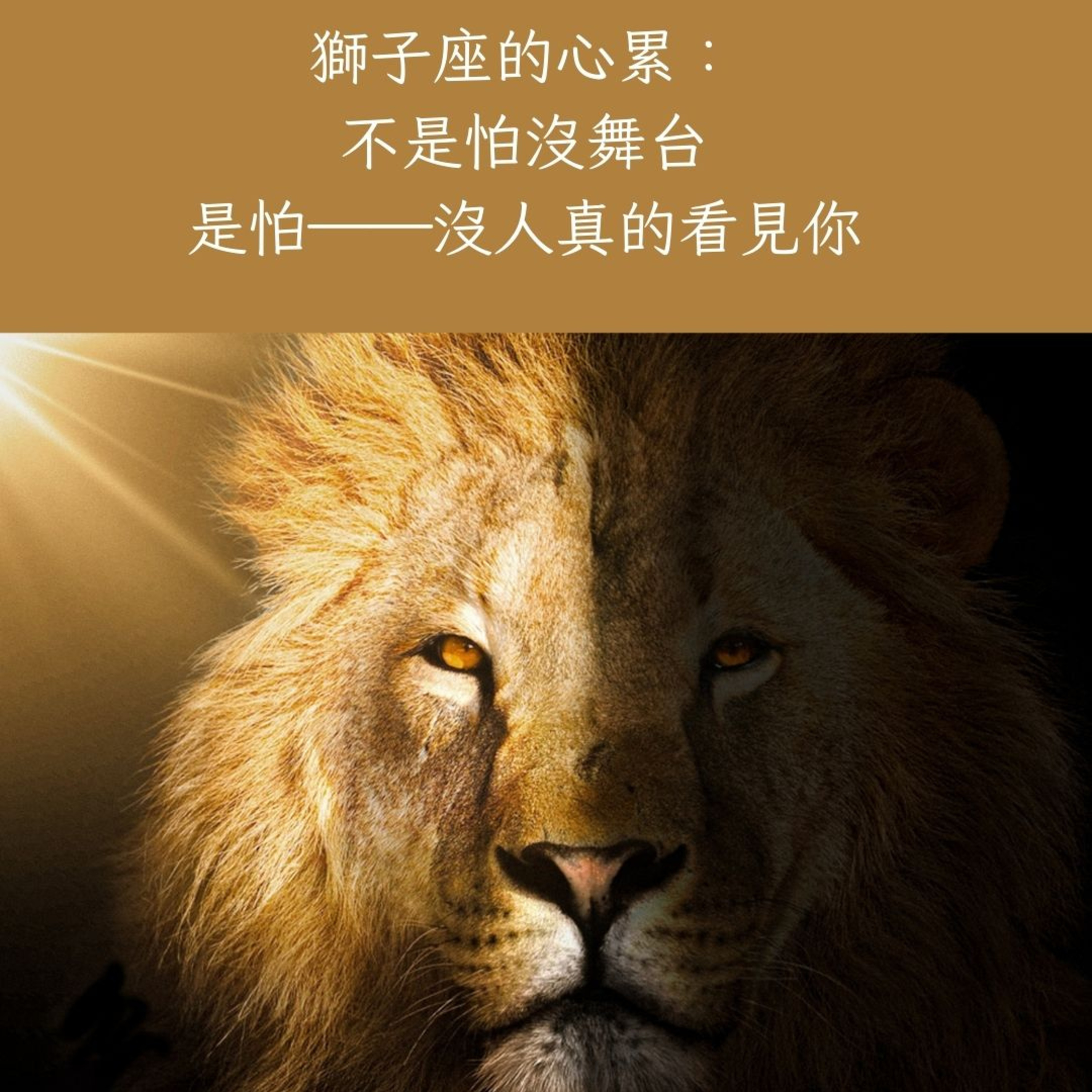 EP35【12星座拒絕內耗，成為我自己】系列 –獅子座：你不必靠掌聲，也能成為自己的太陽