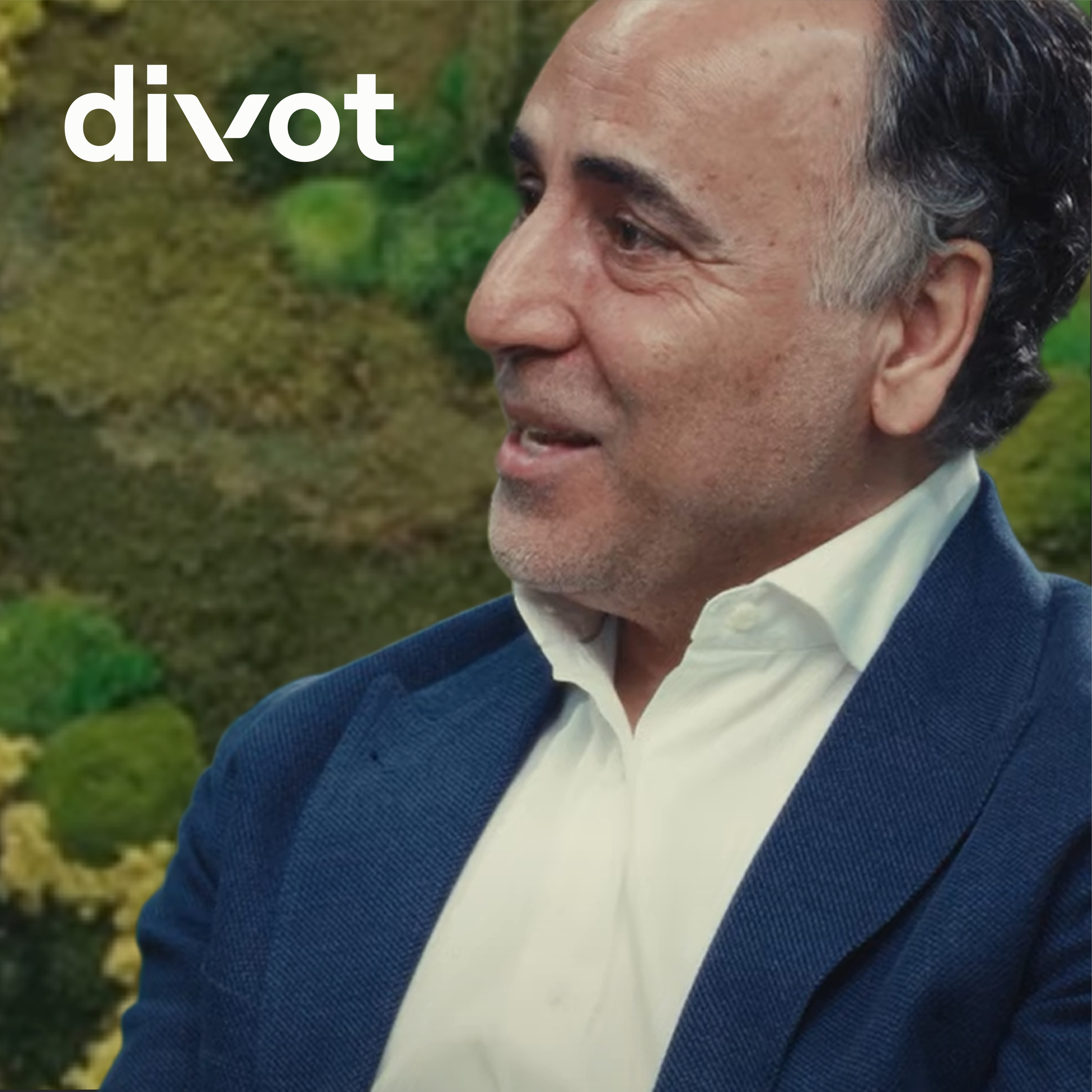 Divot