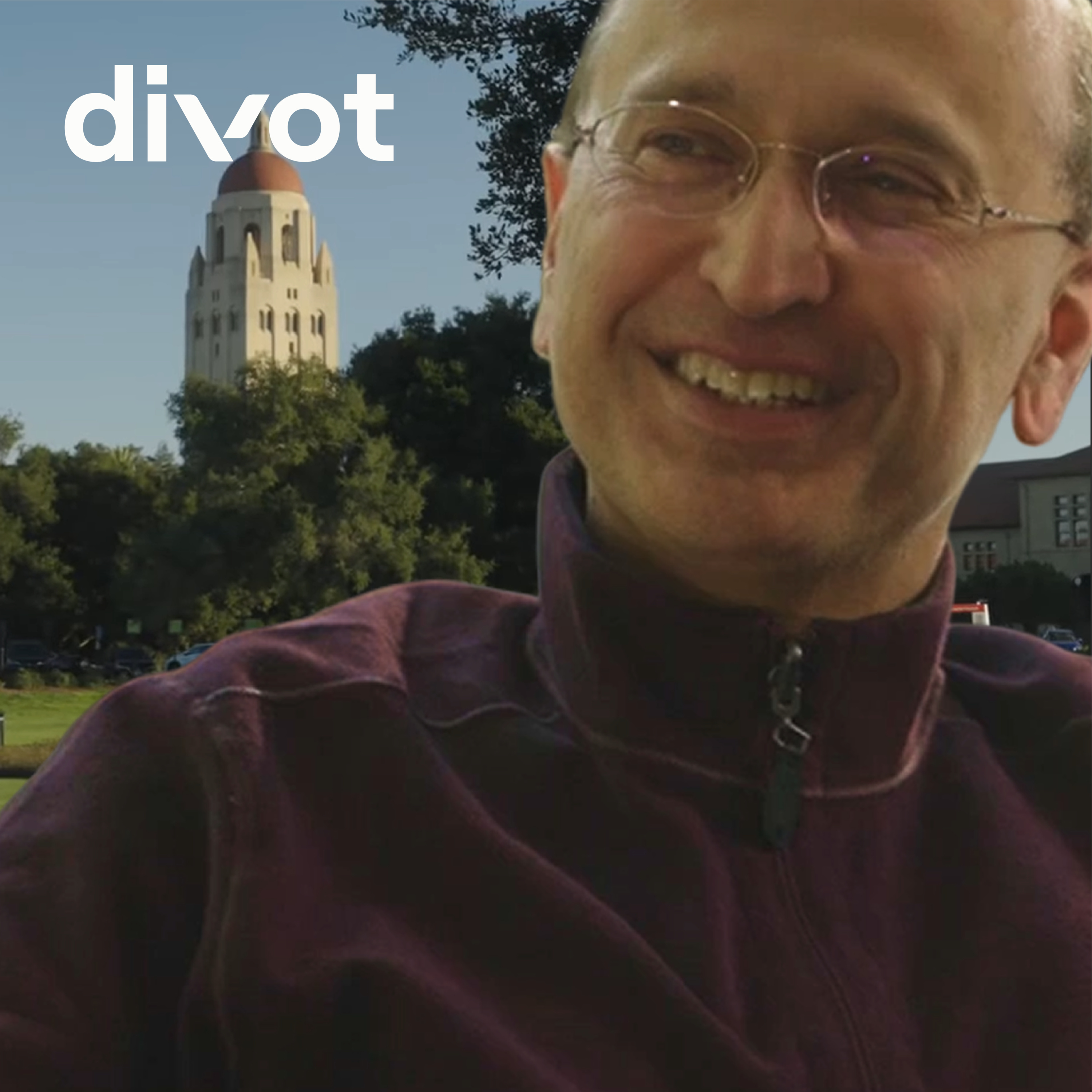 Divot