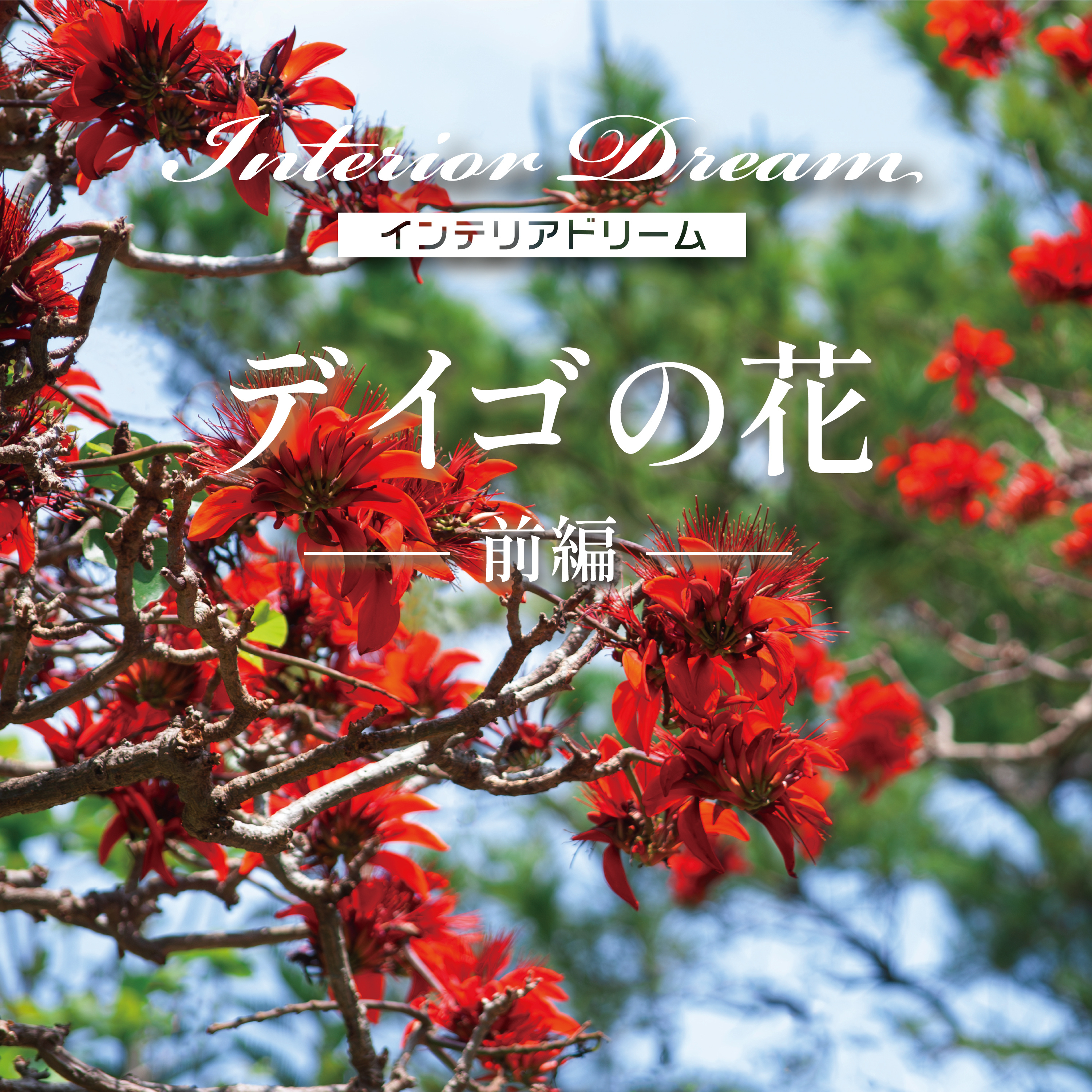 ボイスドラマ「デイゴの花」前編 episode artwork