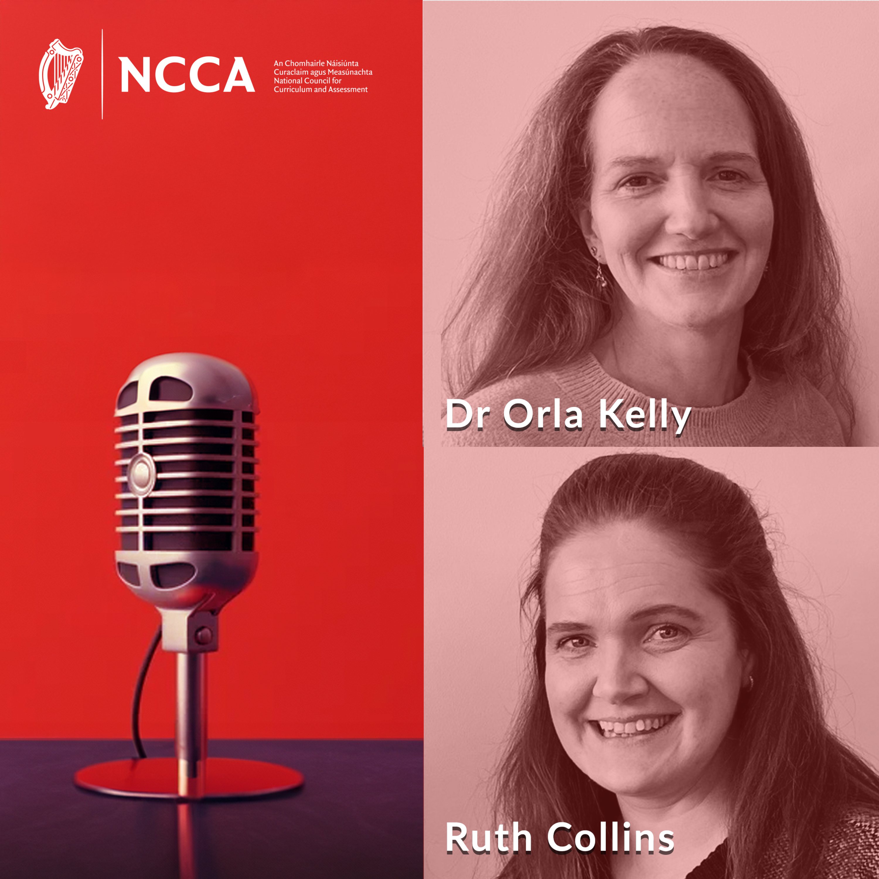 E21: Learning Environments in the redeveloped curriculum: Looking Outdoors (Dr Orla Kelly and Ruth Collins) episode artwork