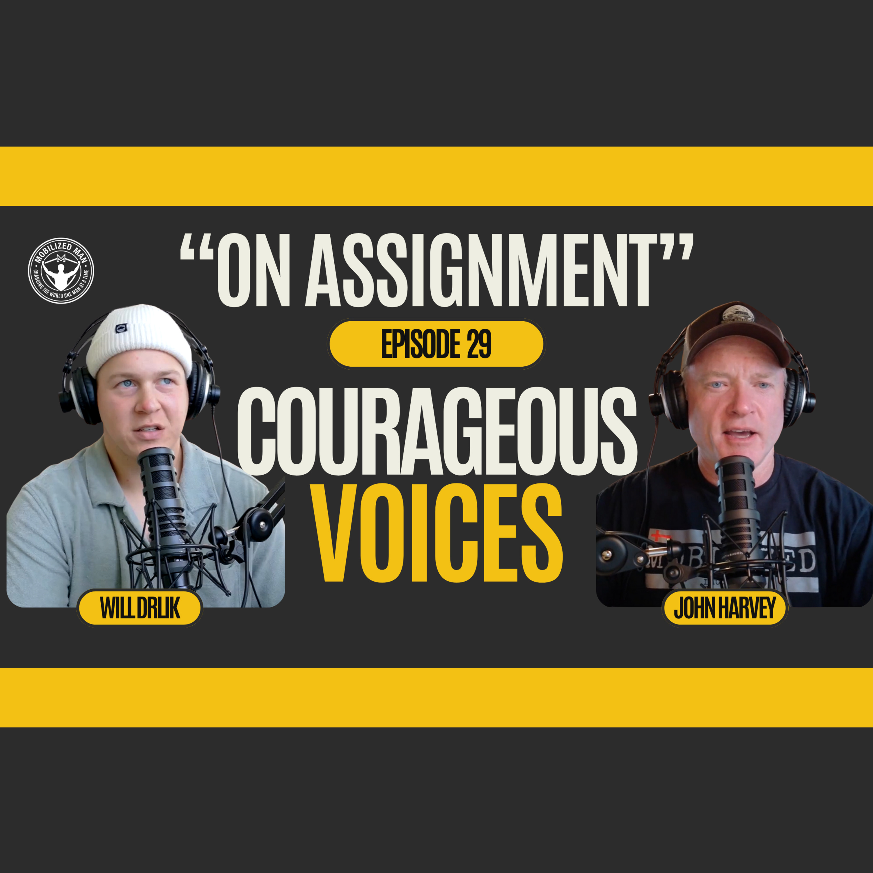 Ep. 29 Courageous Voices episode artwork