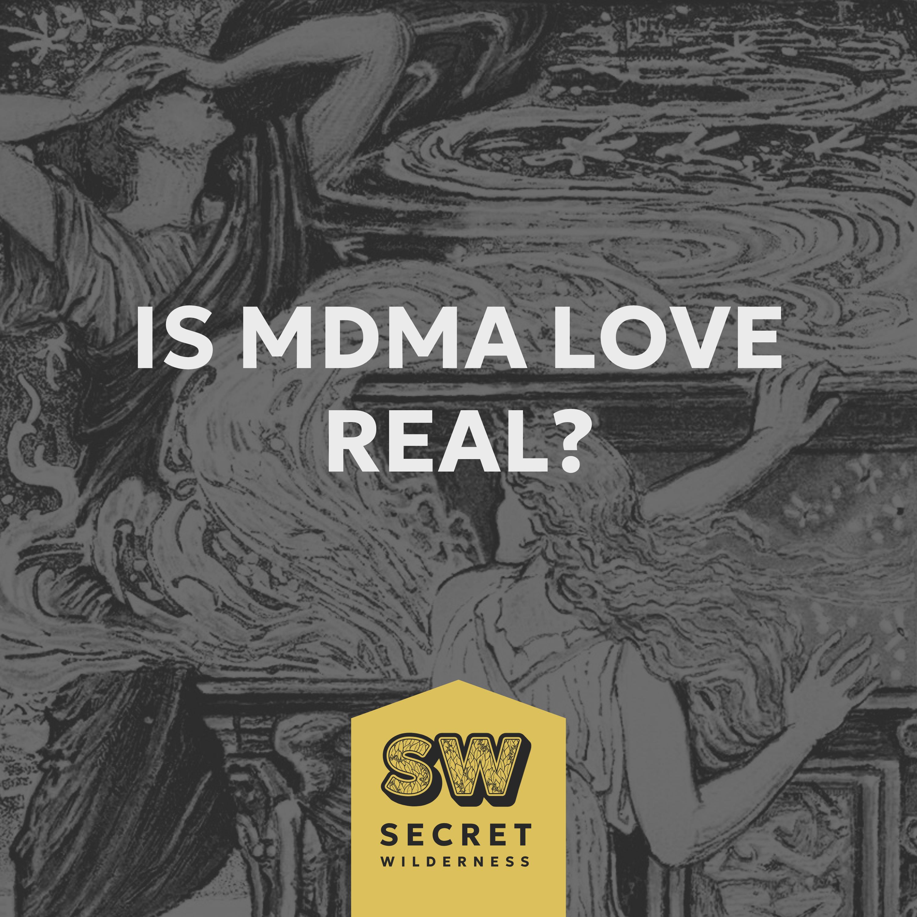 Is MDMA Love Real? Anonymous Interview [AI Masked] episode artwork