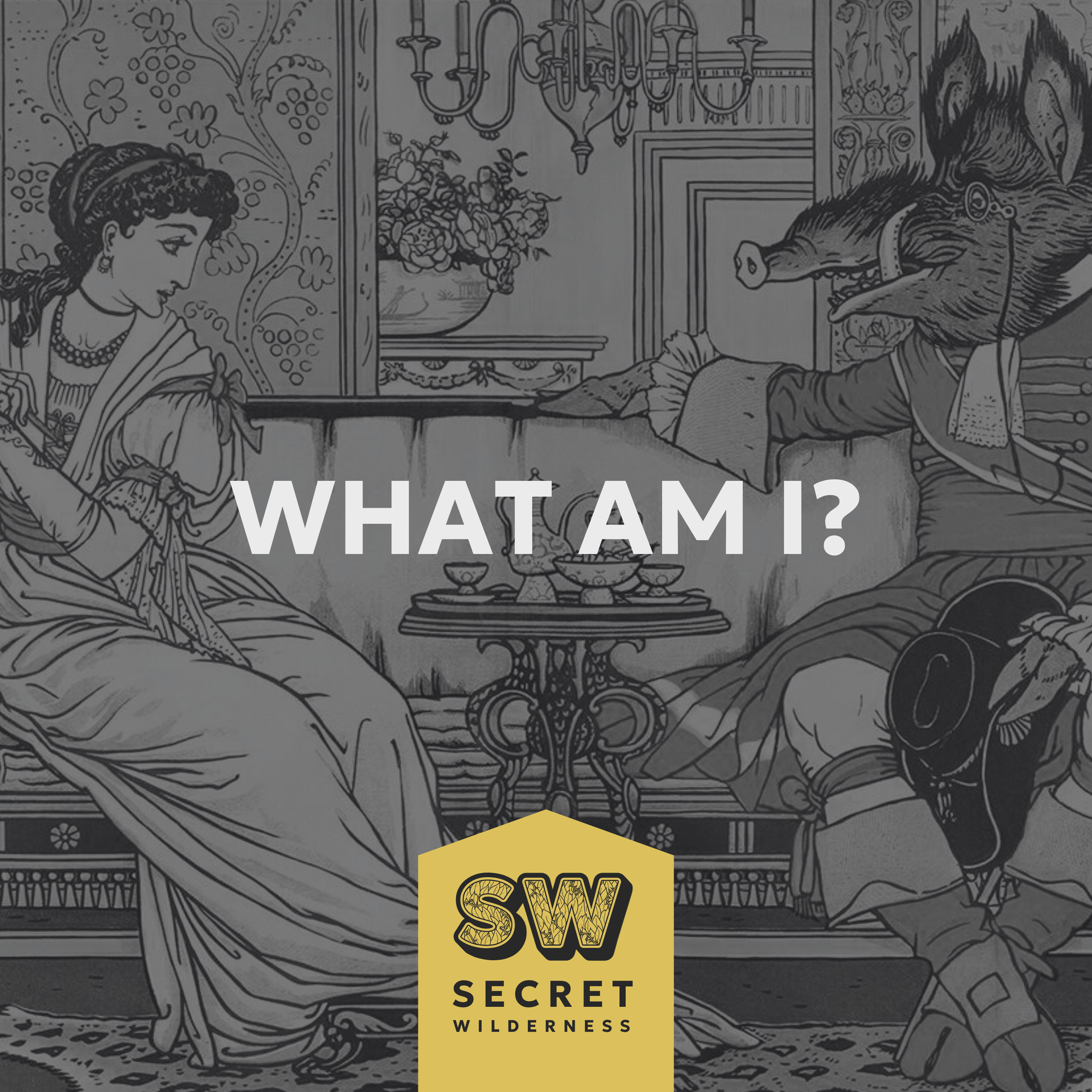 What Am I? Ex-Christian Describes MDMA + Psilocybin Therapy, What She Experienced episode artwork