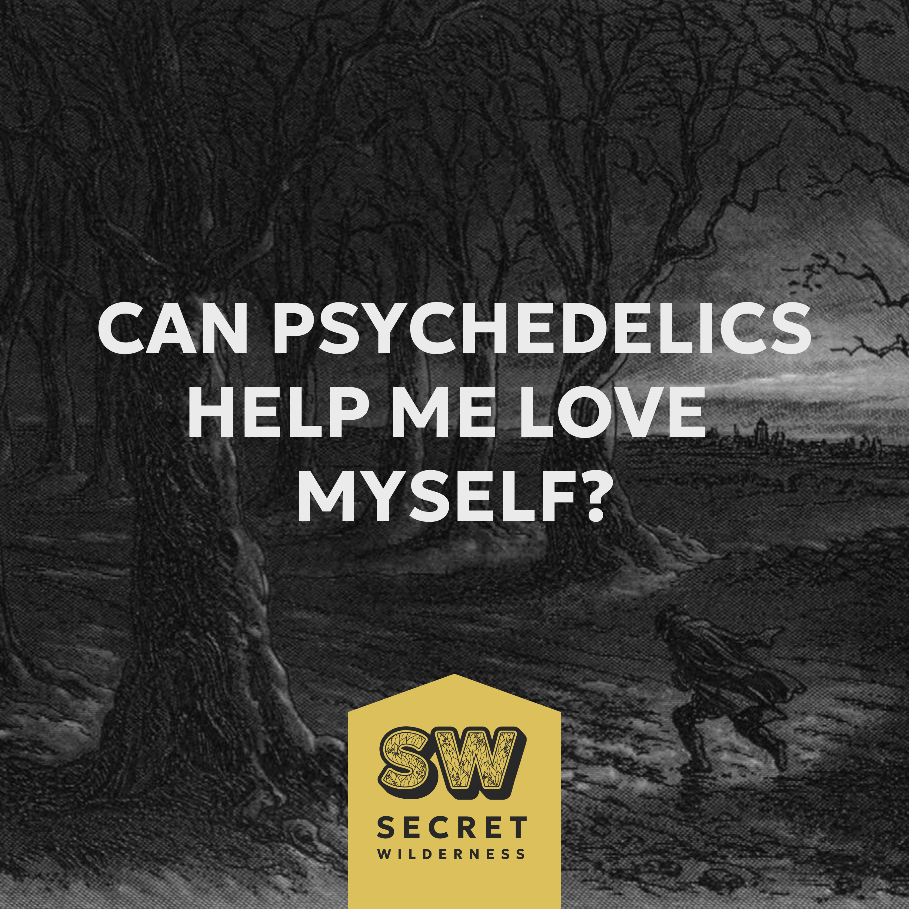 Can Psychedelics Help Me Love Myself? ~100 Psychedelic Sessions vs 10 Years of Abuse episode artwork
