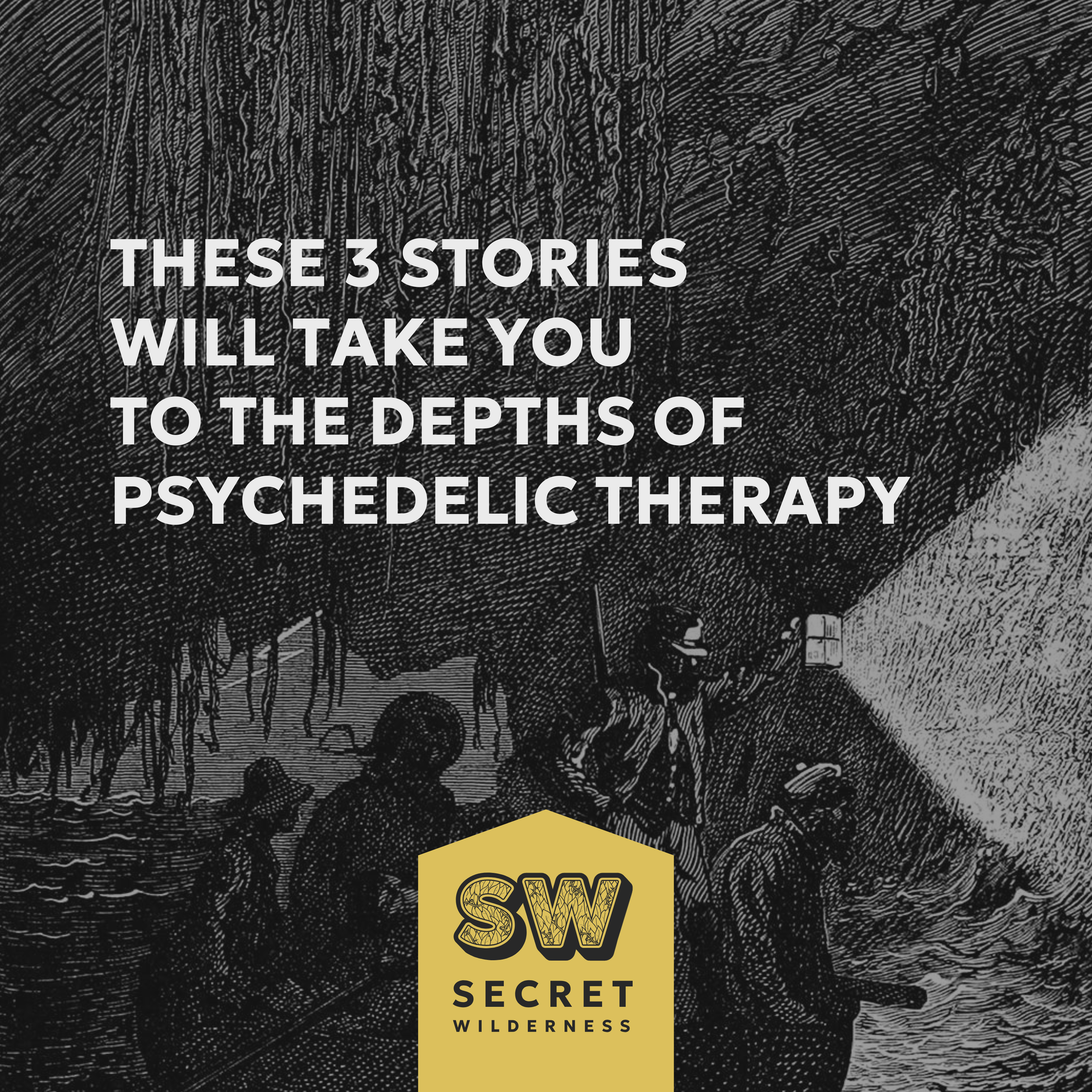 These 3 Stories Will Take You to the Depths of Psychedelic Therapy episode artwork