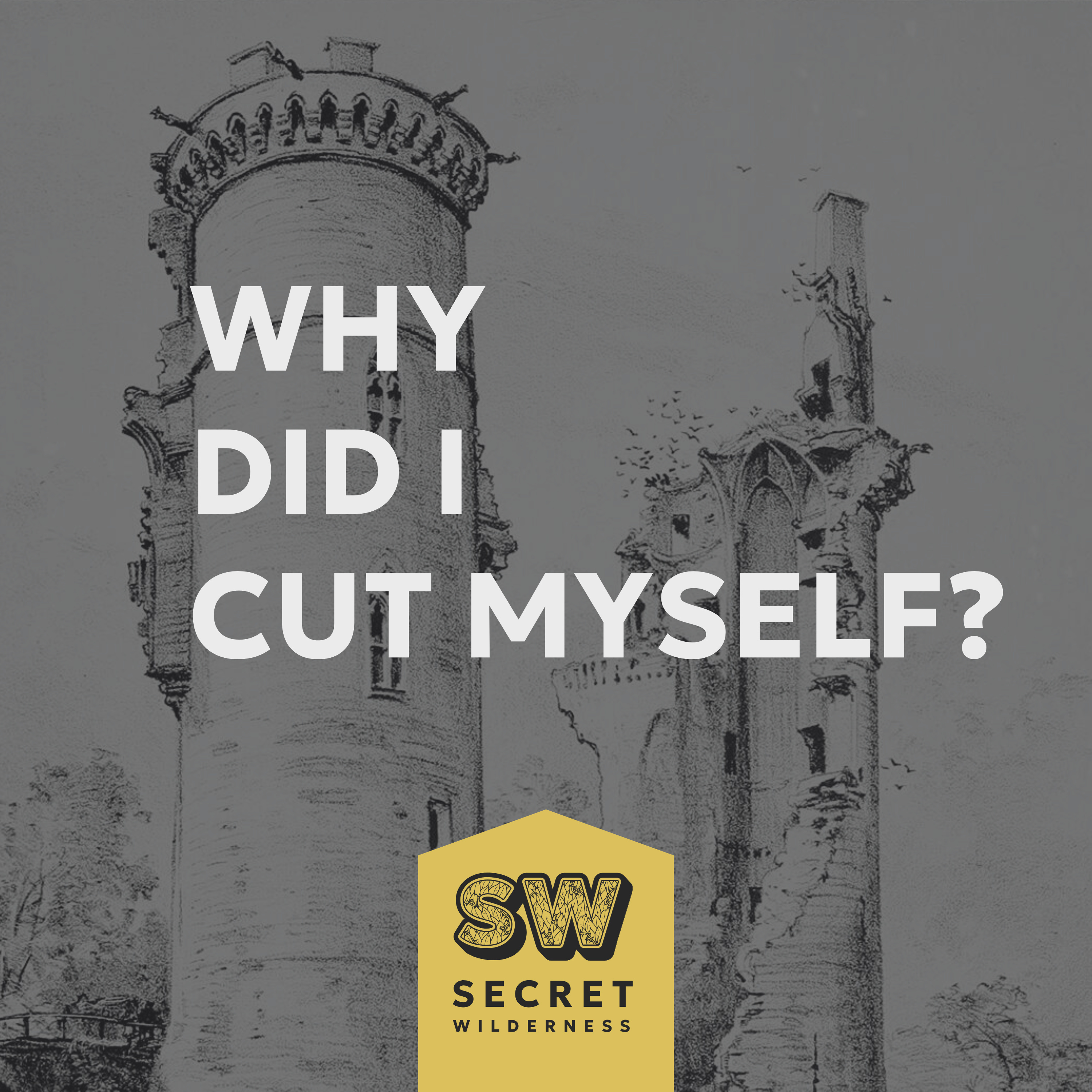 Why Did I Cut Myself? Therapist Meets Hidden Self with Psychedelics episode artwork