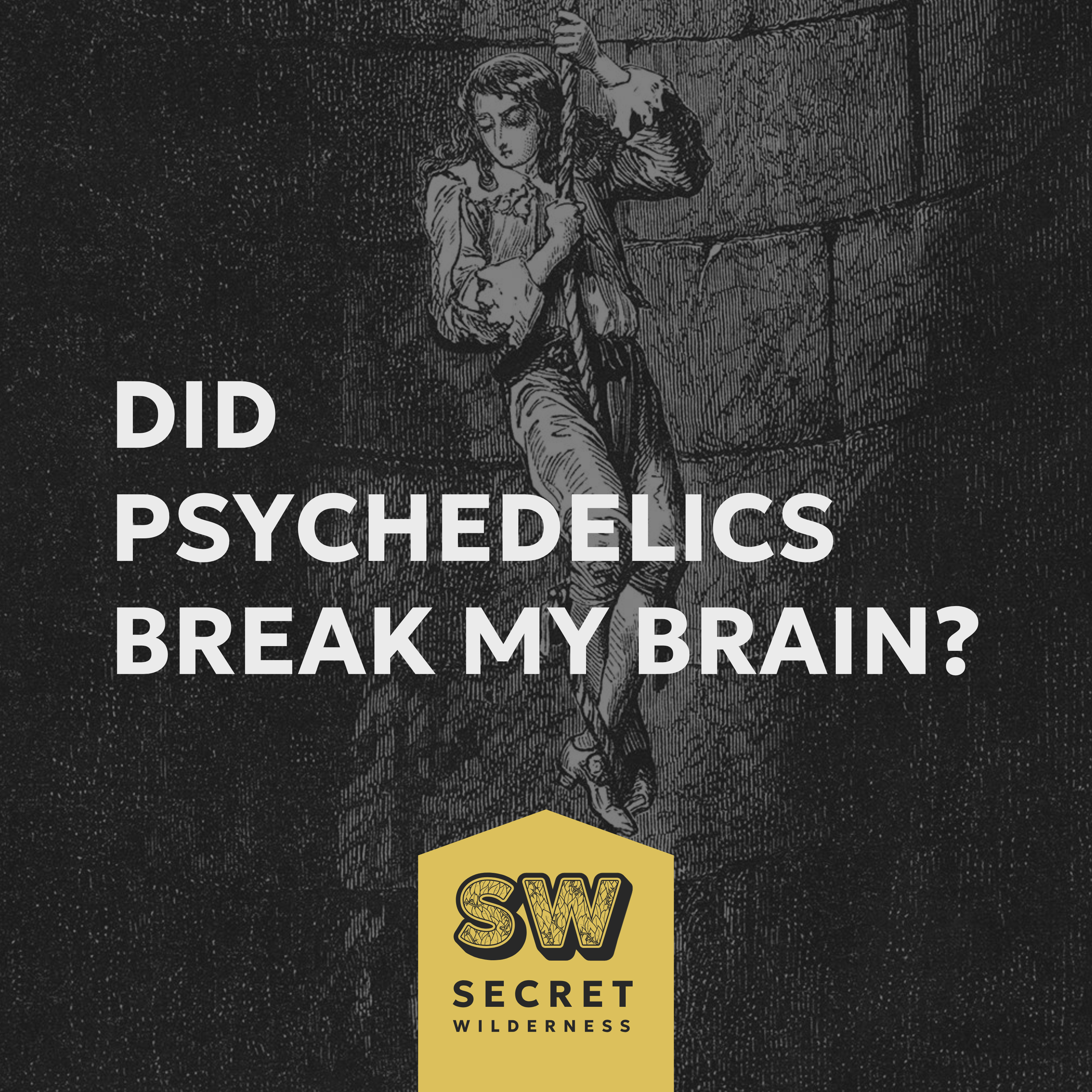 Did Psychedelics Break My Brain? LSD-Fueled Police Chase to "Fully" Back episode artwork