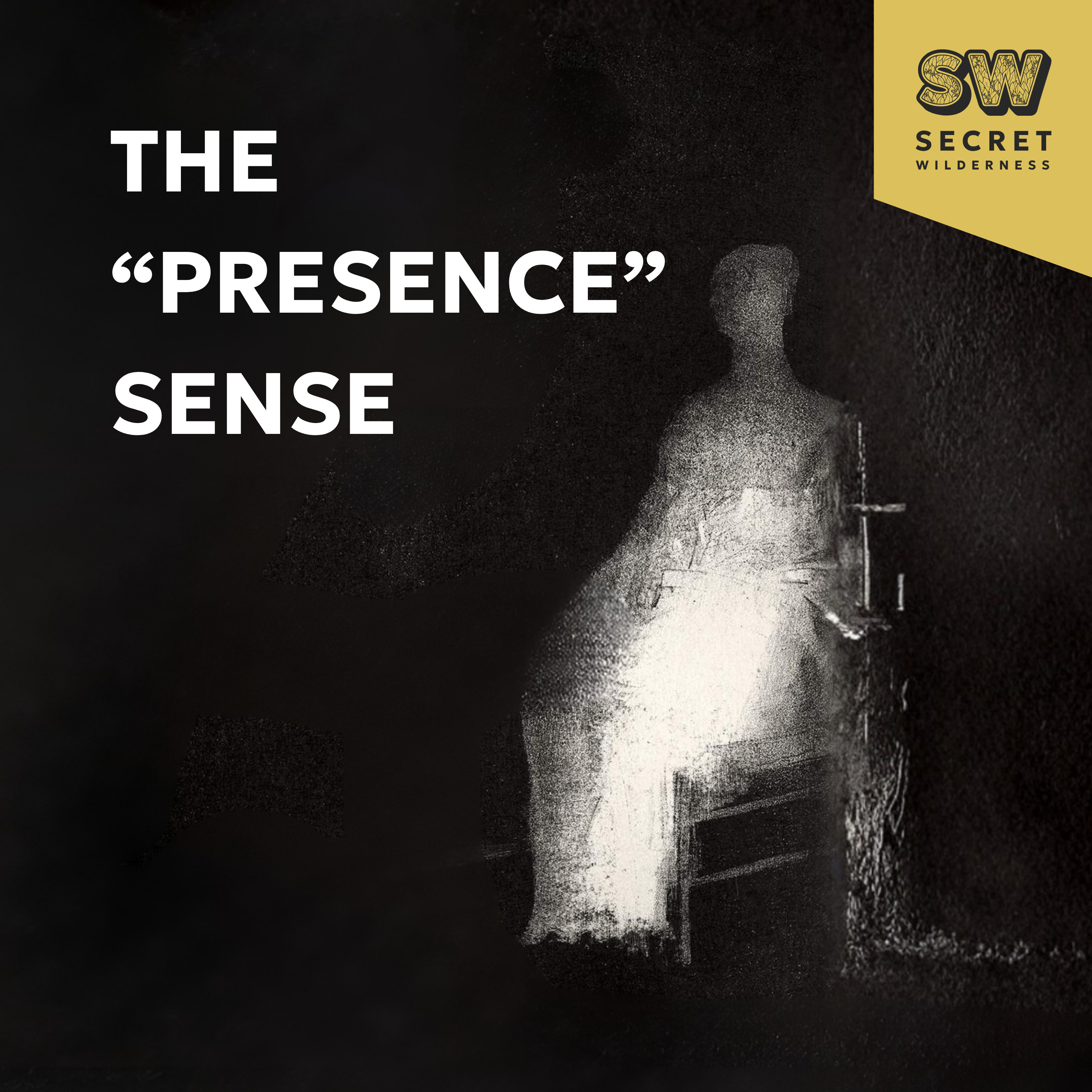 Did Psychedelics Make Me Psychic? episode artwork